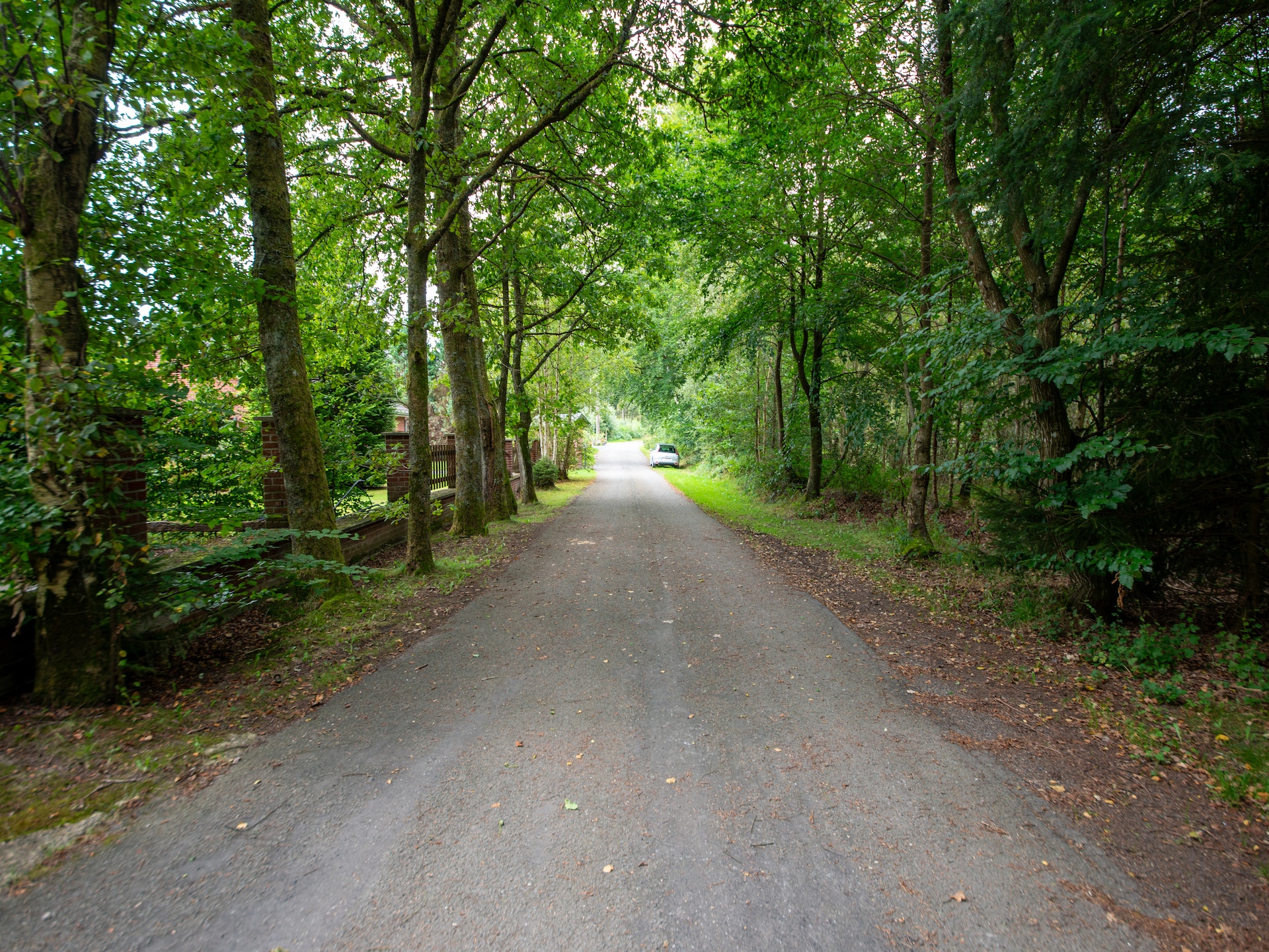 4-persoons vakantiehuis met tuin in hartje Recht - foto 39