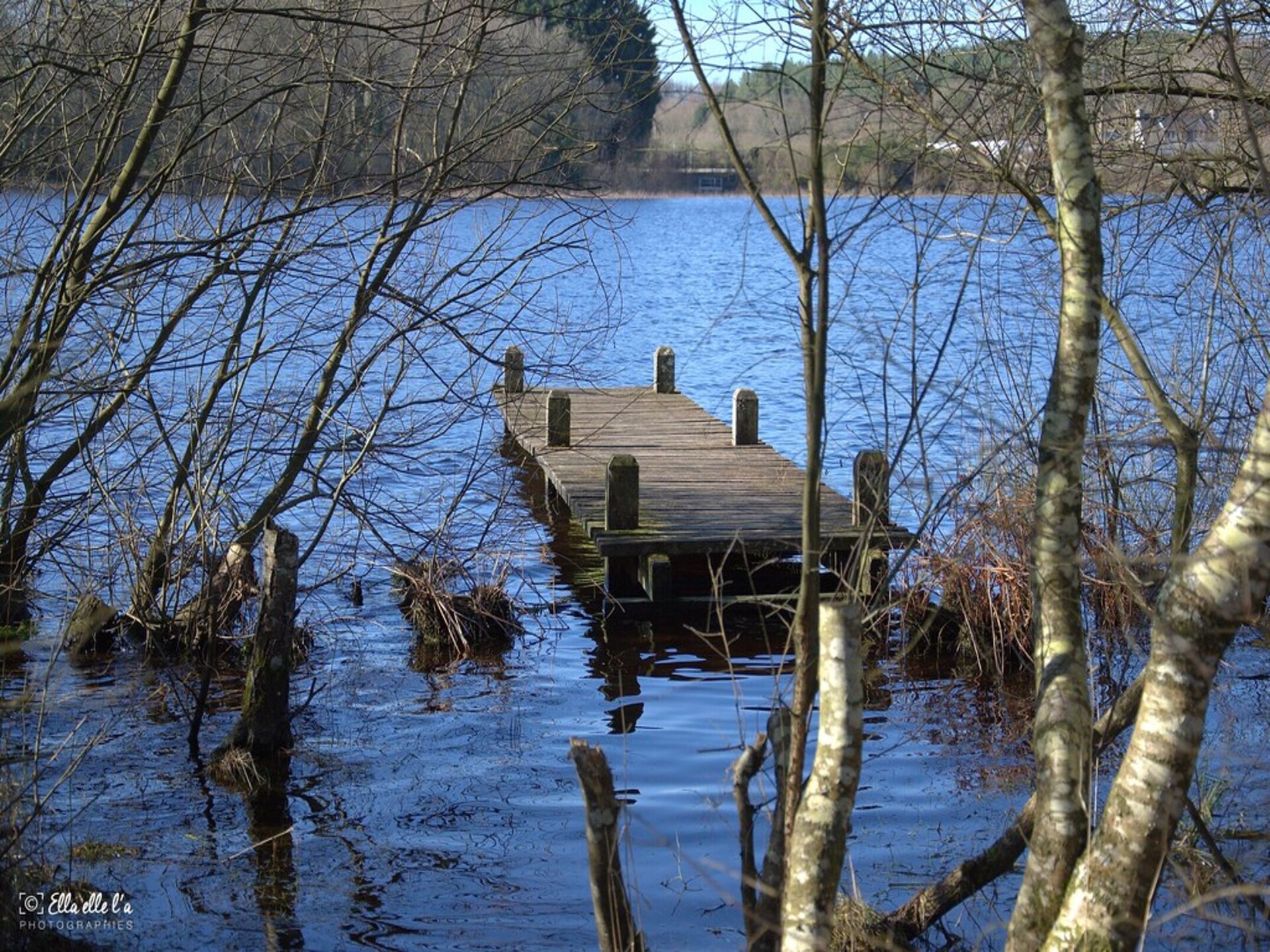 Ruime bungalow aan de oever van de Goldberger See, 50m tot strand - foto 16