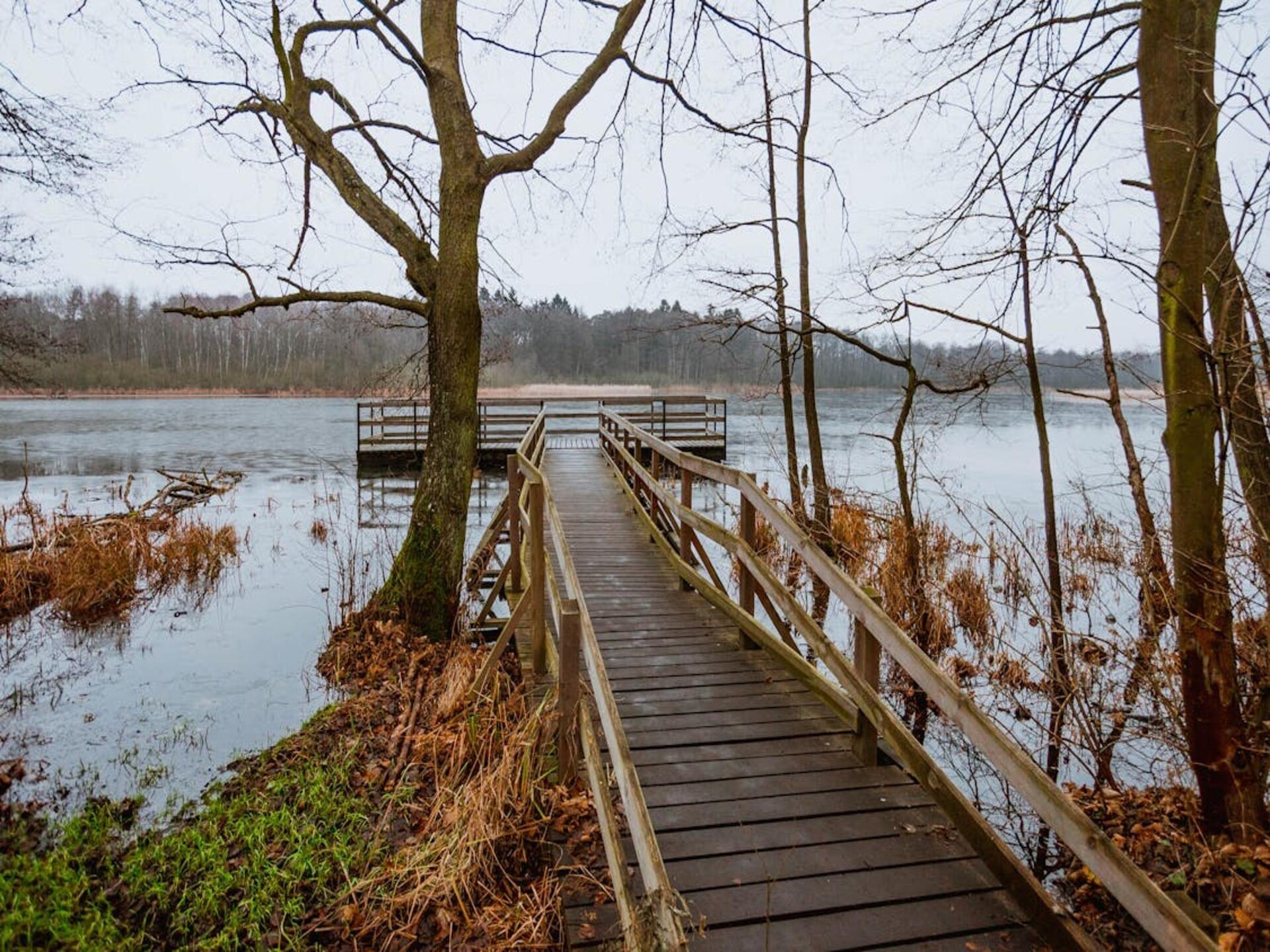 Ruime bungalow aan de oever van de Goldberger See, 50m tot strand - foto 21