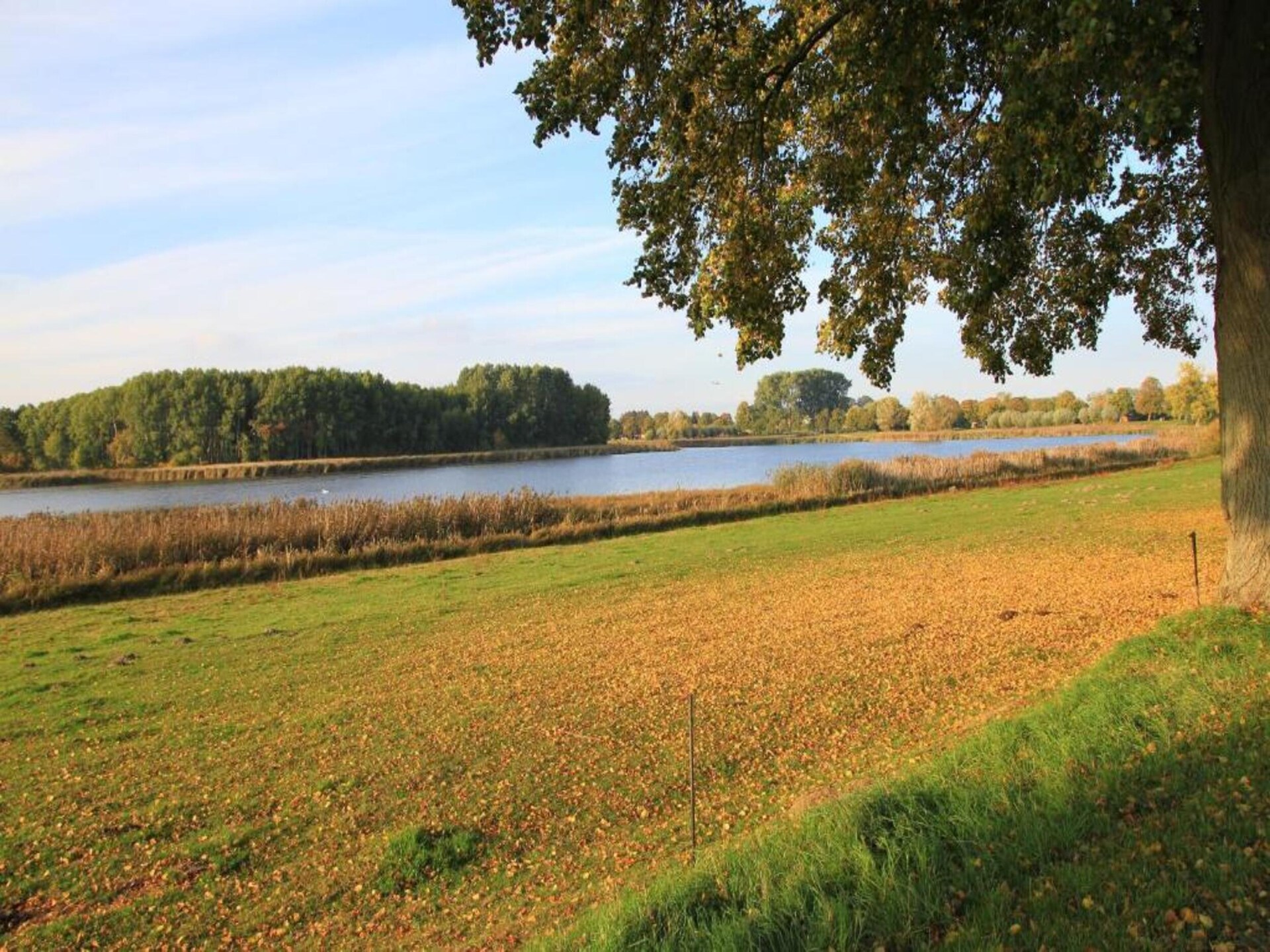 Vrijstaande stacaravan aan Goldberger See voor 3 personen met privétuin - foto 27
