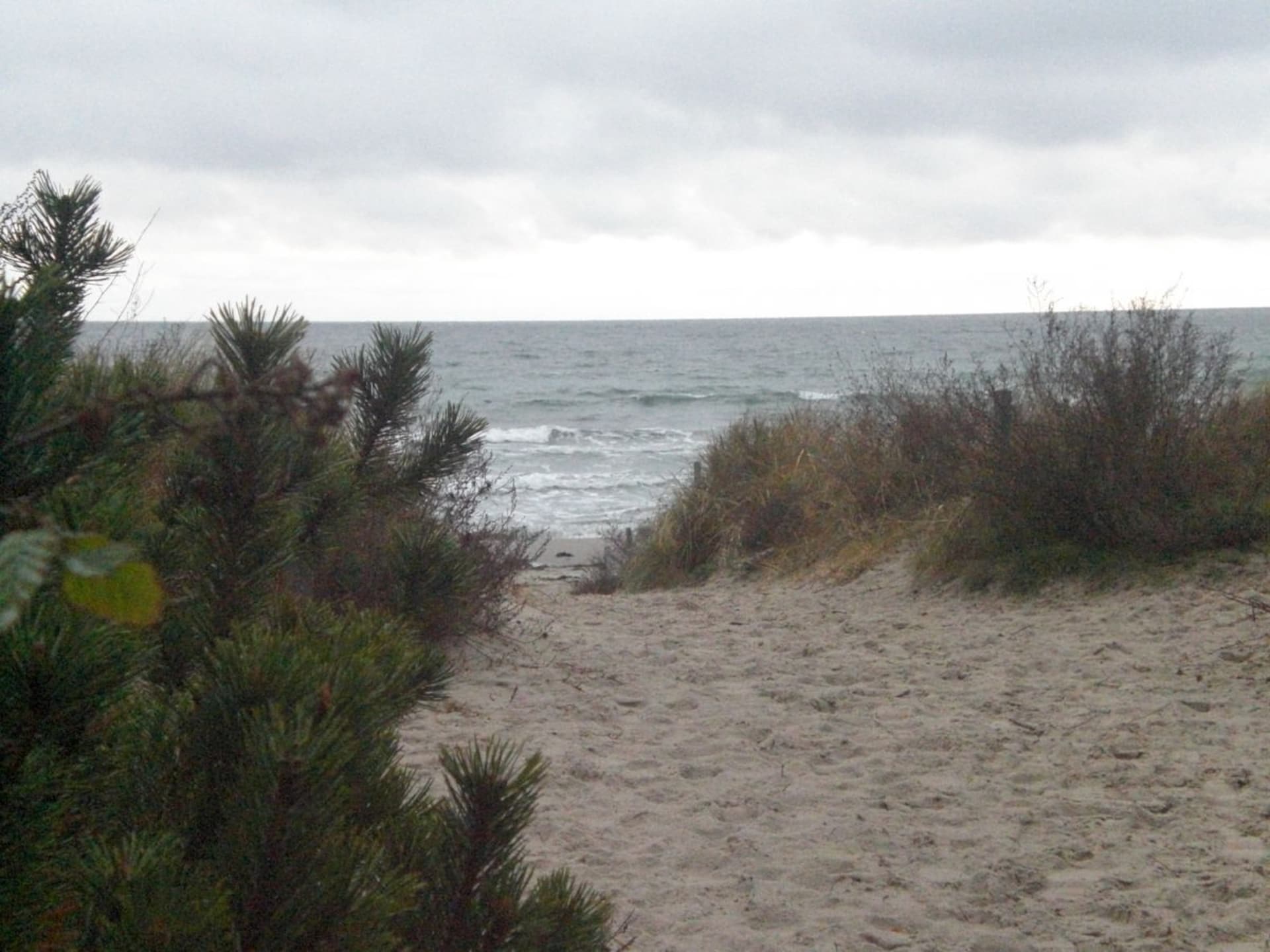 Centraal gelegen vakantiehuis aan het strand in Juliusruh - foto 5