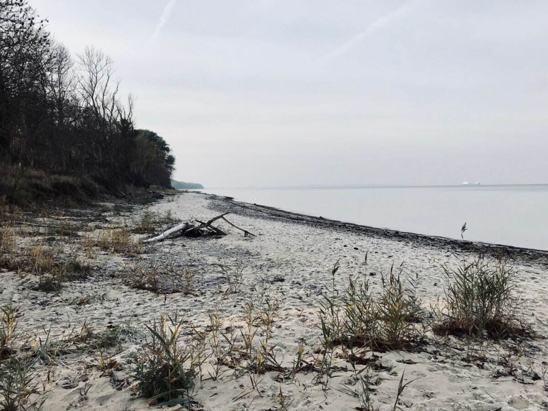 Ruim appartement voor 7 personen nabij strand in Groß Schwansee - foto 15