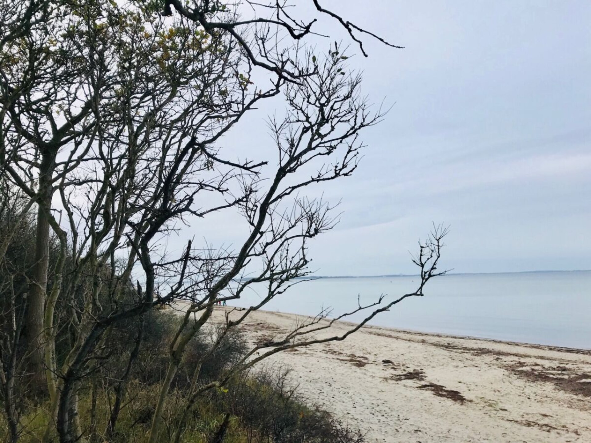 Ruim appartement voor 7 personen nabij strand in Groß Schwansee - foto 16