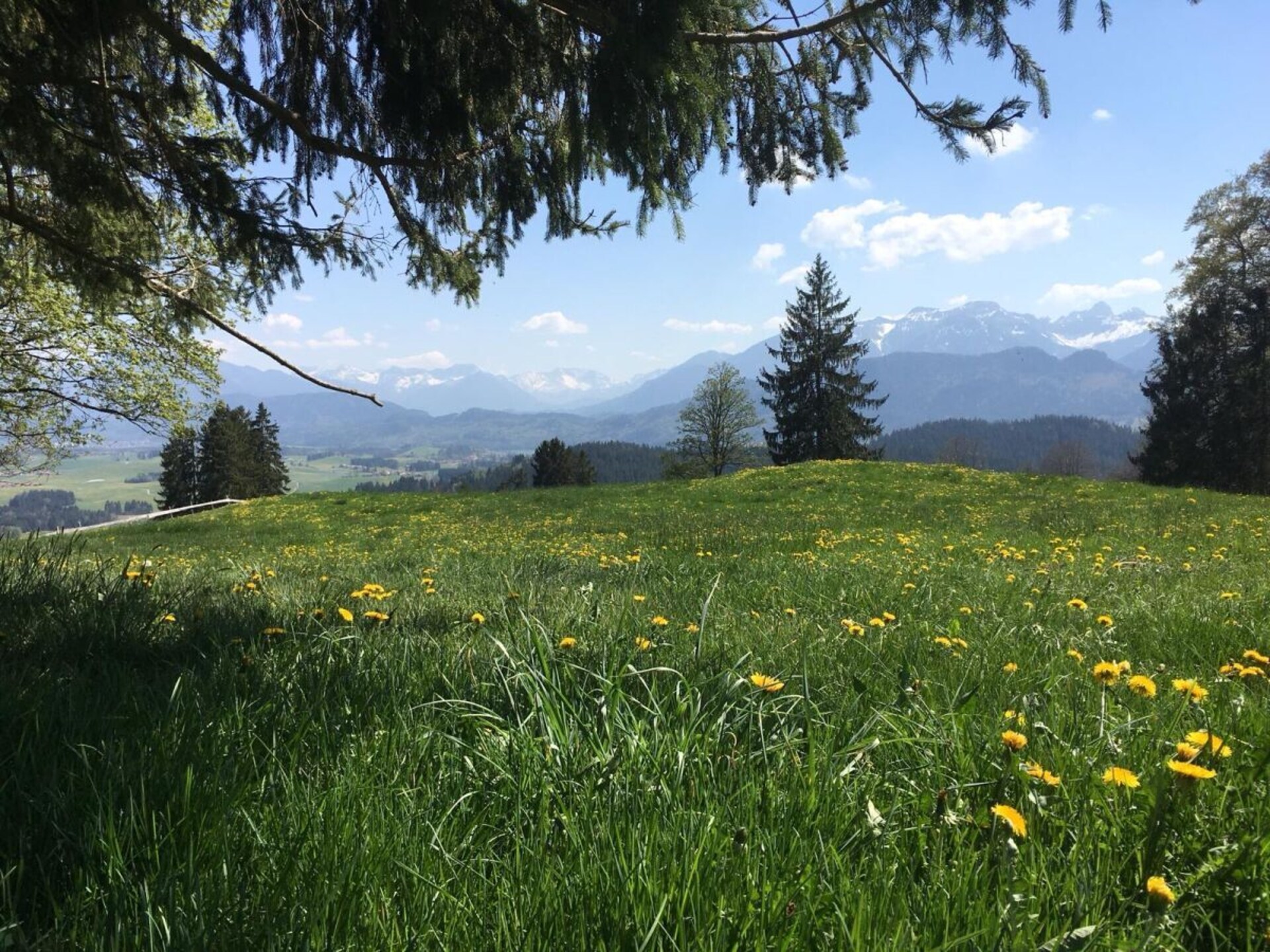 Knus appartement in Füssen met bergzicht, 300m van de Forggensee - foto 32