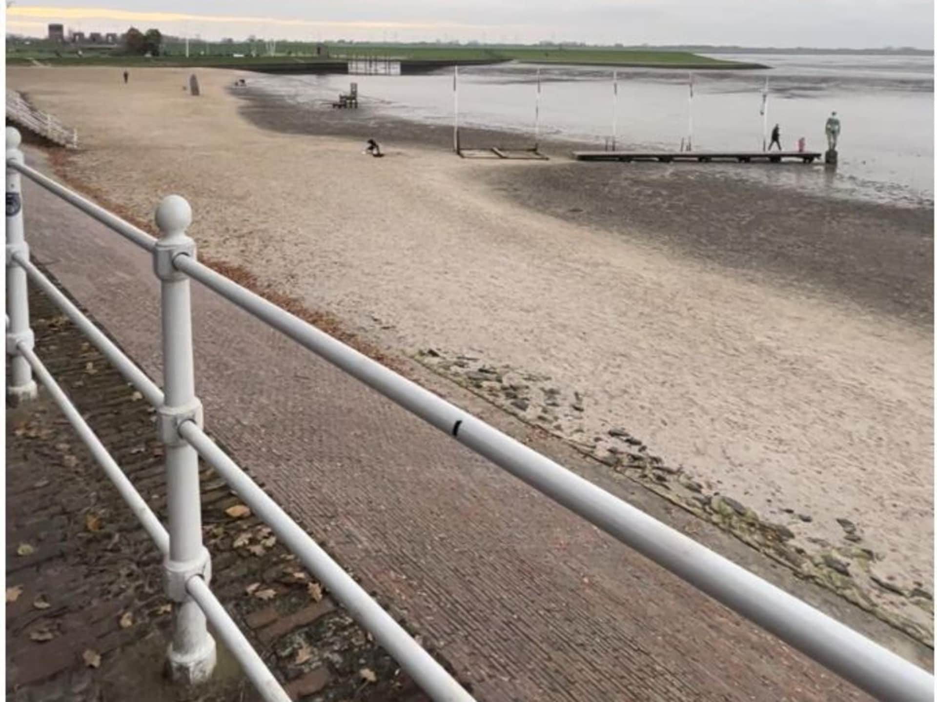 Modern vakantiehuis Margaretha in kunstenaarsdorp Dangast, 300m van strand - foto 16