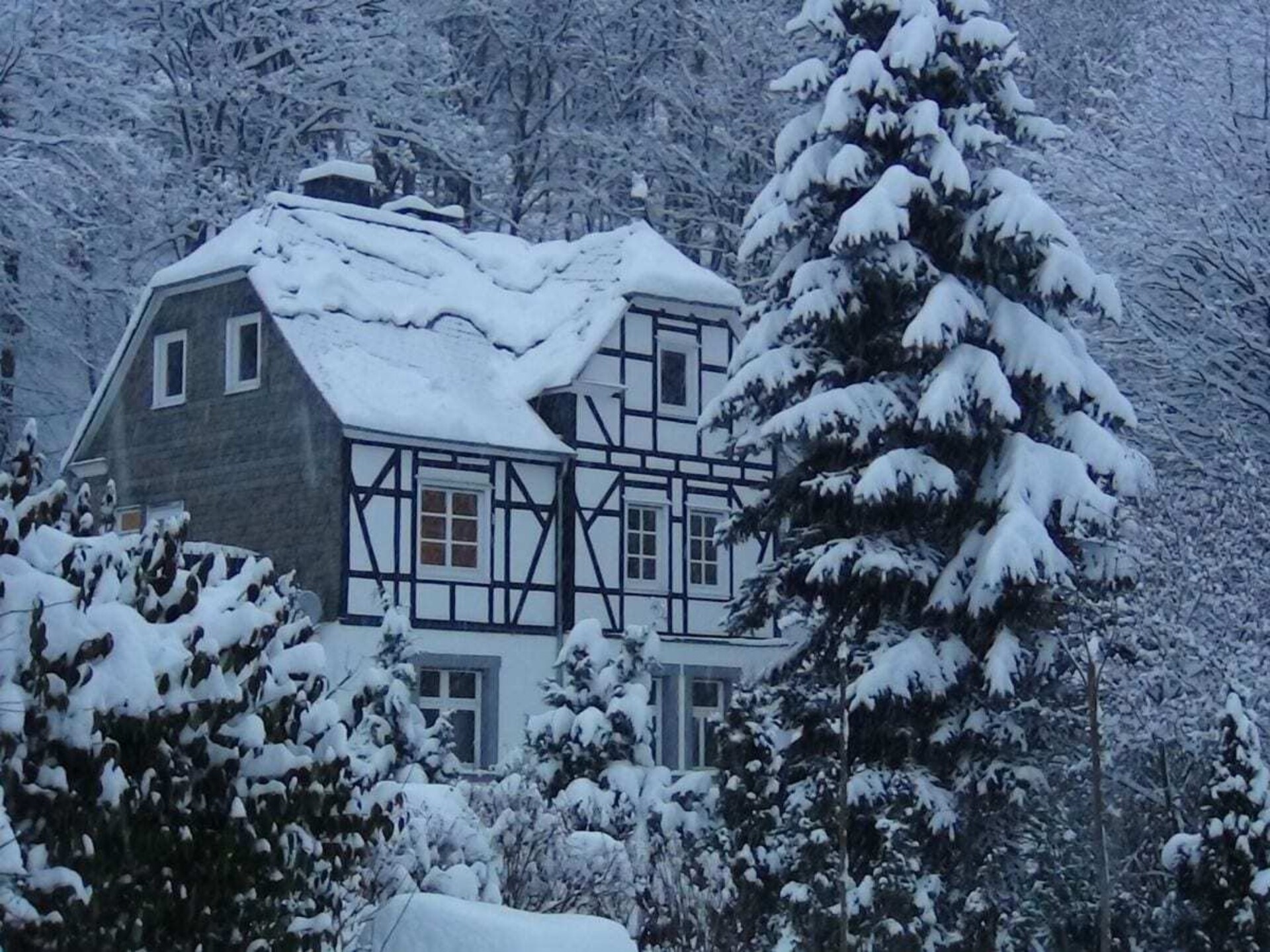 Ruim vakantiehuis voor 14 personen met grote tuin, 300m van centrum Winterberg - foto 3