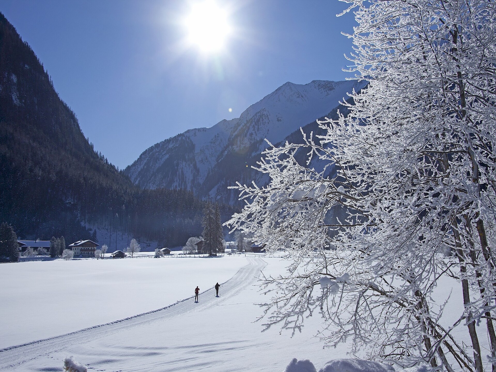 Bergappartement aan de bosrand met terras, 100m van de skilift - foto 15