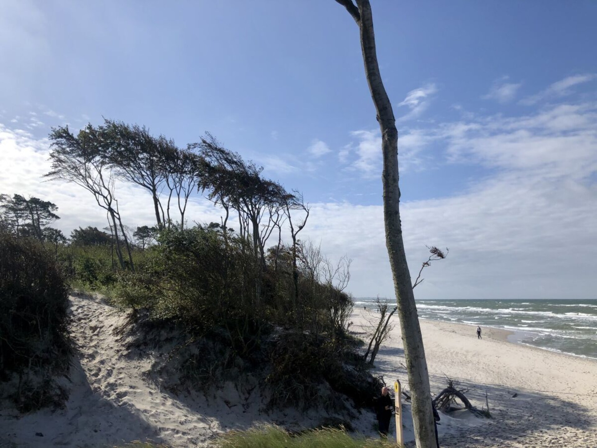 Modern vakantiehuis in Prerow: strand, natuur en comfort op 600m van zee - foto 33