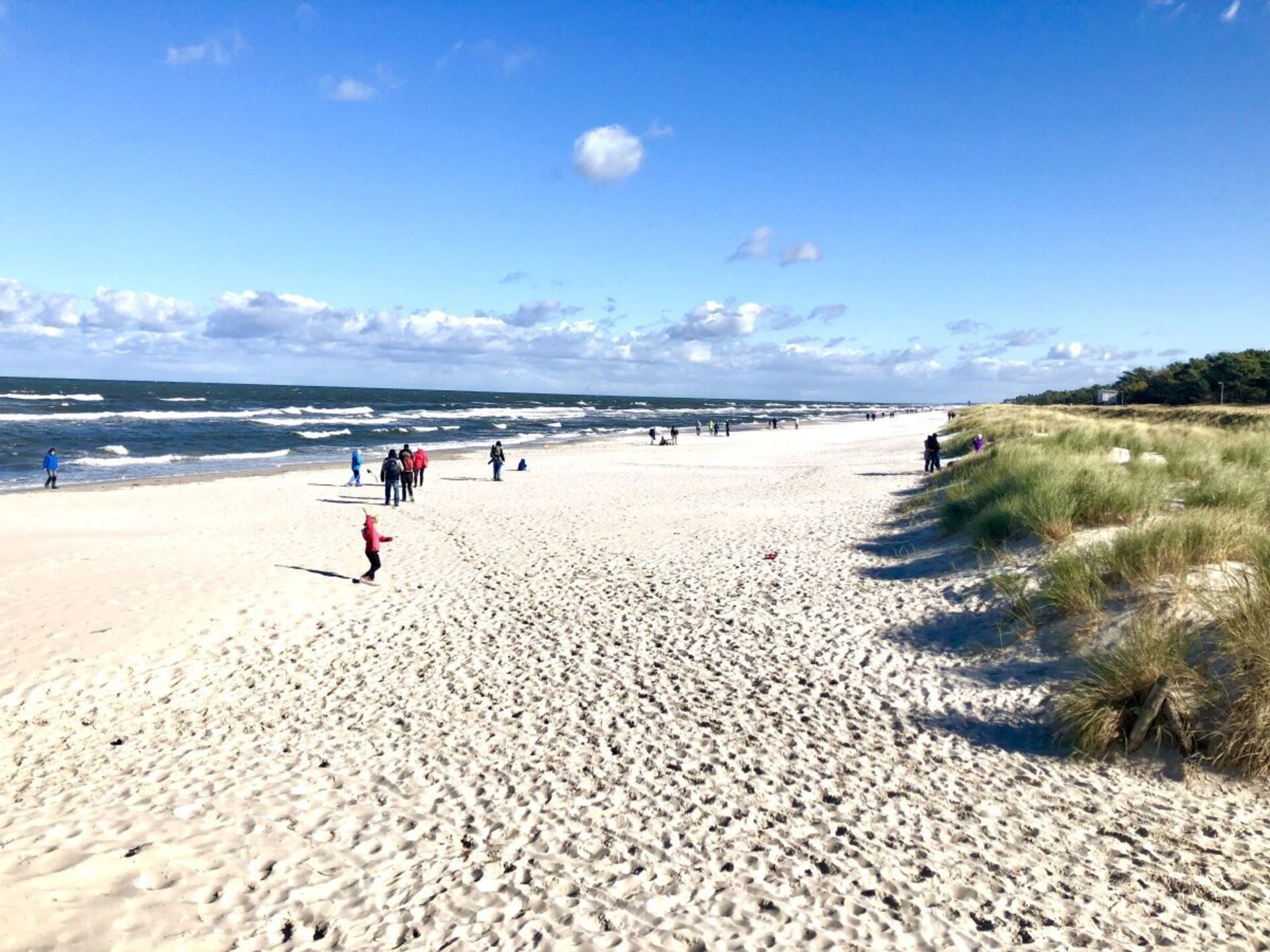 Modern vakantiehuis in Prerow: strand, natuur en comfort op 600m van zee - foto 35
