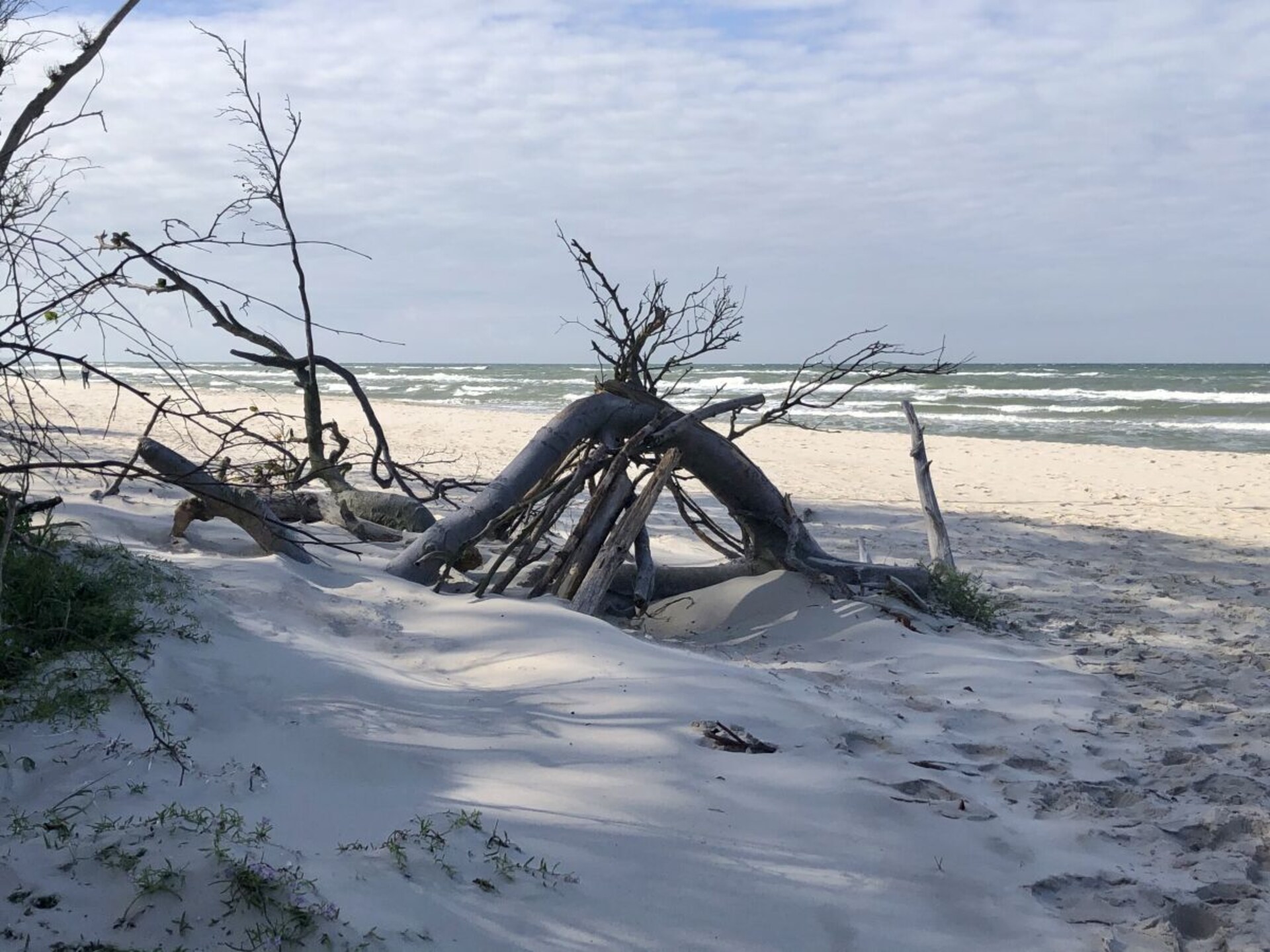 Modern vakantiehuis in Prerow: strand, natuur en comfort op 600m van zee - foto 39