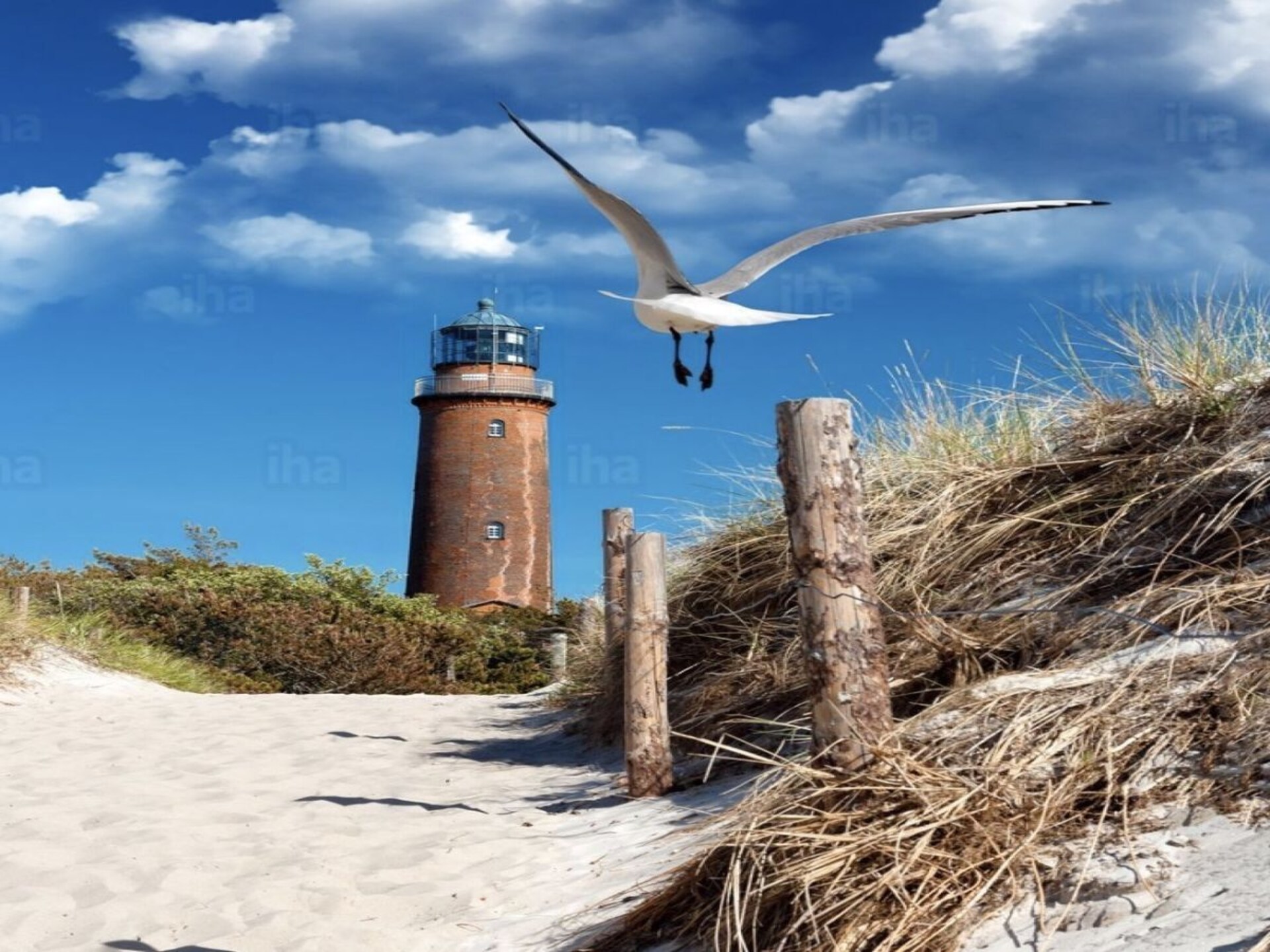 Modern vakantiehuis in Prerow: strand, natuur en comfort op 600m van zee - foto 44