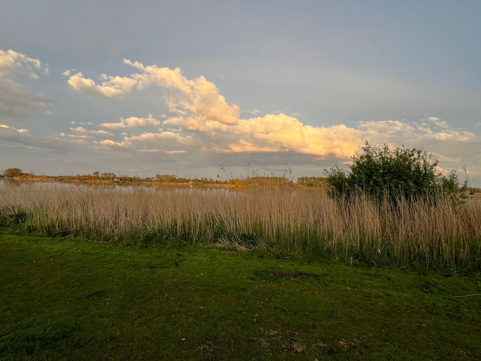 Vrijstaand boshuis bij strand en meer in Noordwijkerhout - foto 37