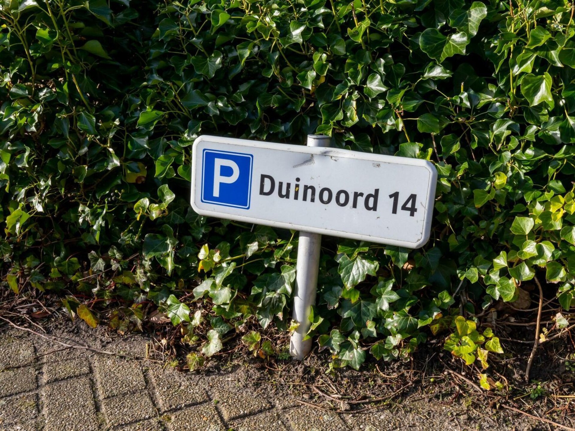 Modern appartement met zeezicht in hartje Zoutelande – 500m van strand - foto 39