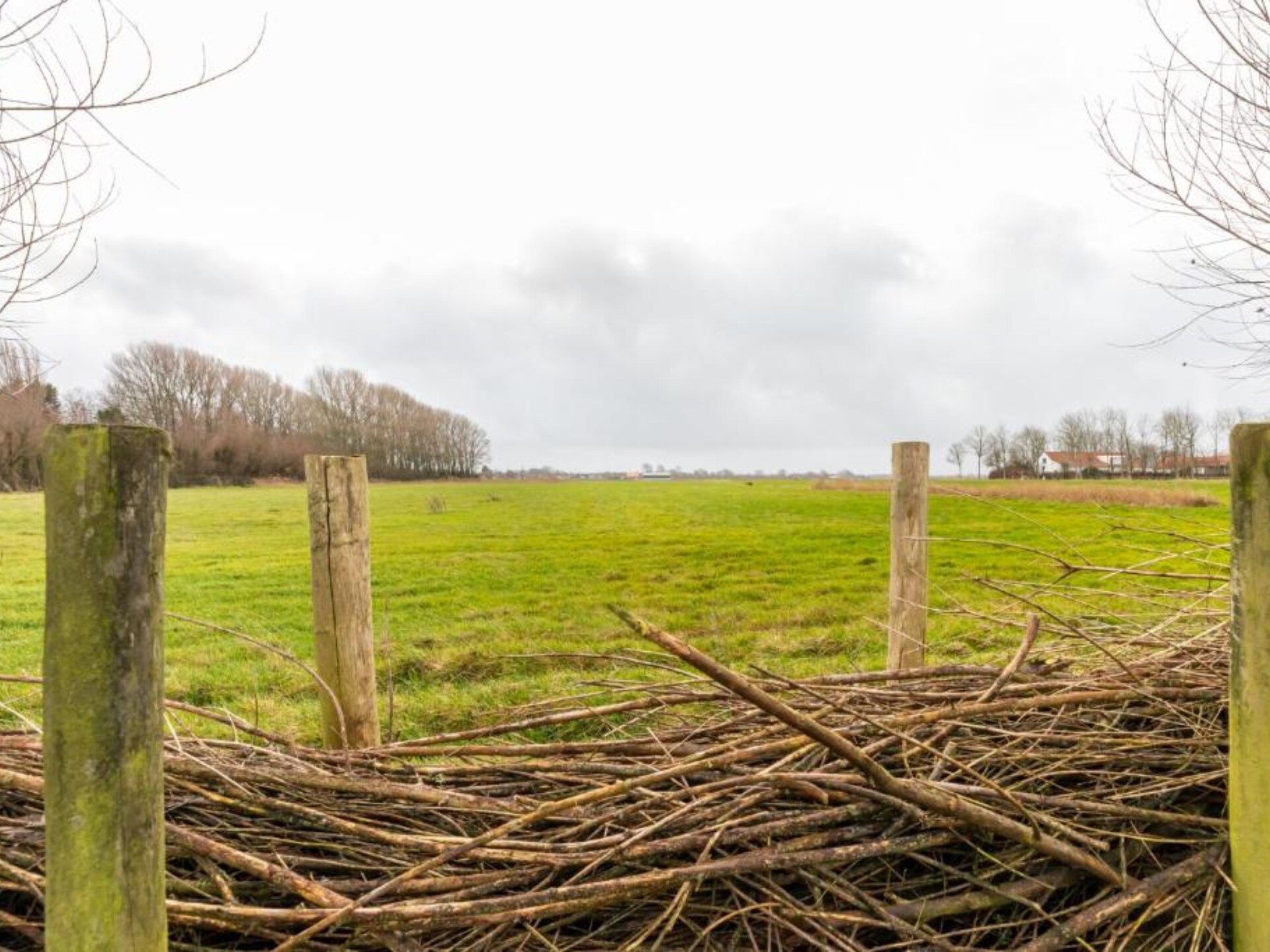De Kleine Pionier: Modern vakantiehuis met tuin in hartje Grijpskerke - foto 27