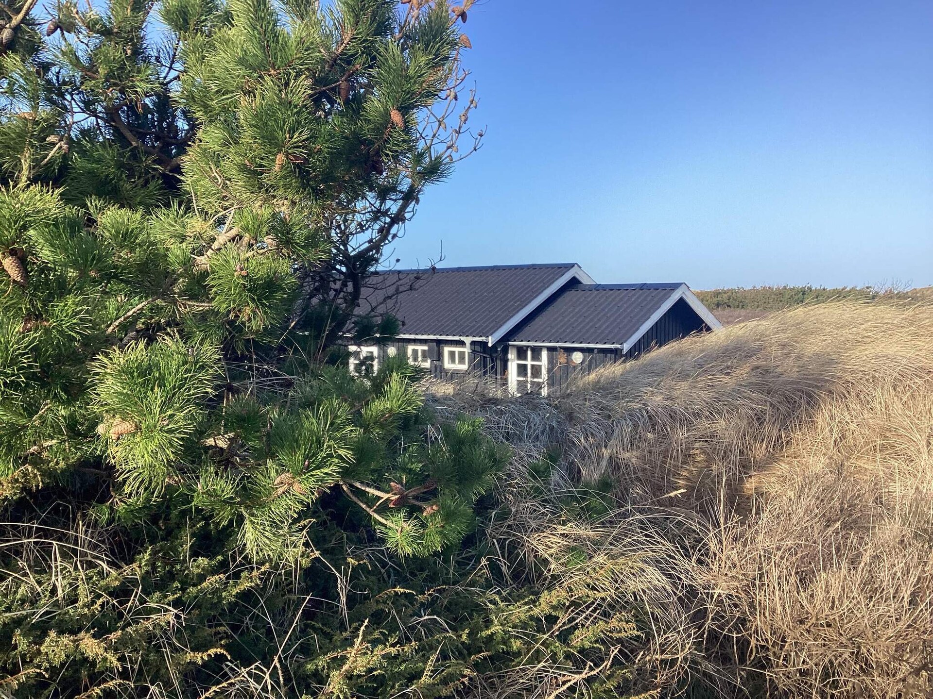 Knus duinhuis op de eerste rij bij Tranum Strand - foto 3