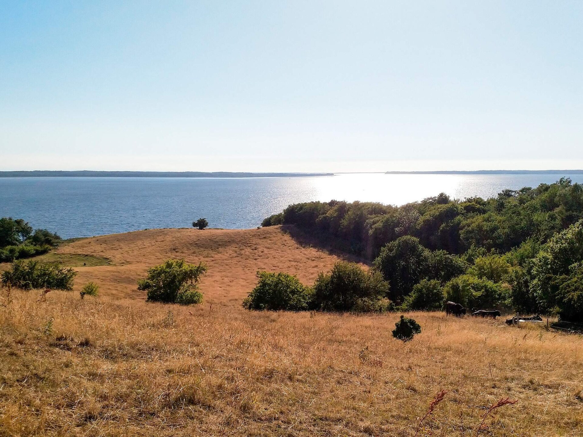 Prachtig gerenoveerd vakantiehuis aan de fjord bij Frederiksværk - foto 6