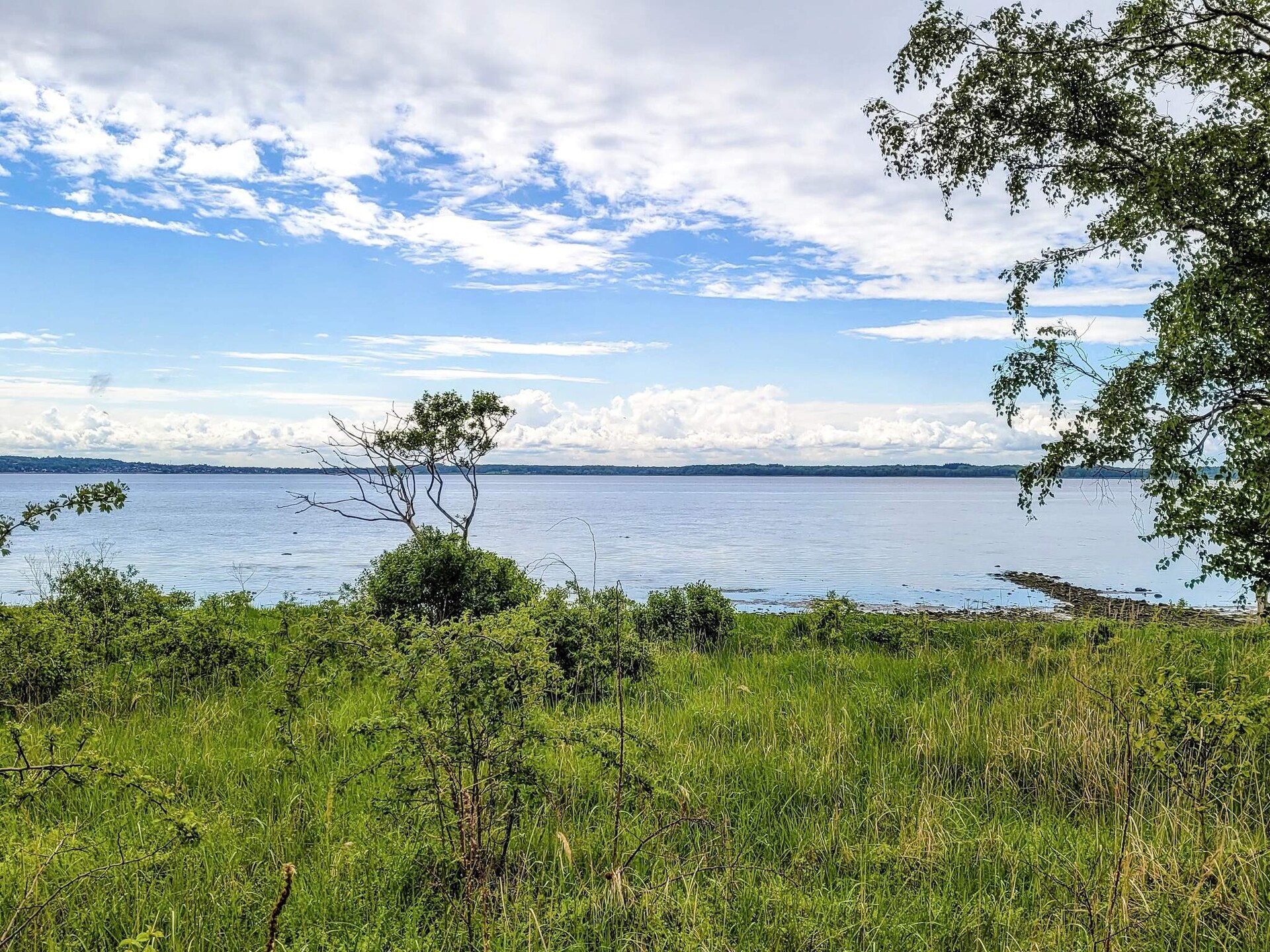 Prachtig gerenoveerd vakantiehuis aan de fjord bij Frederiksværk - foto 12