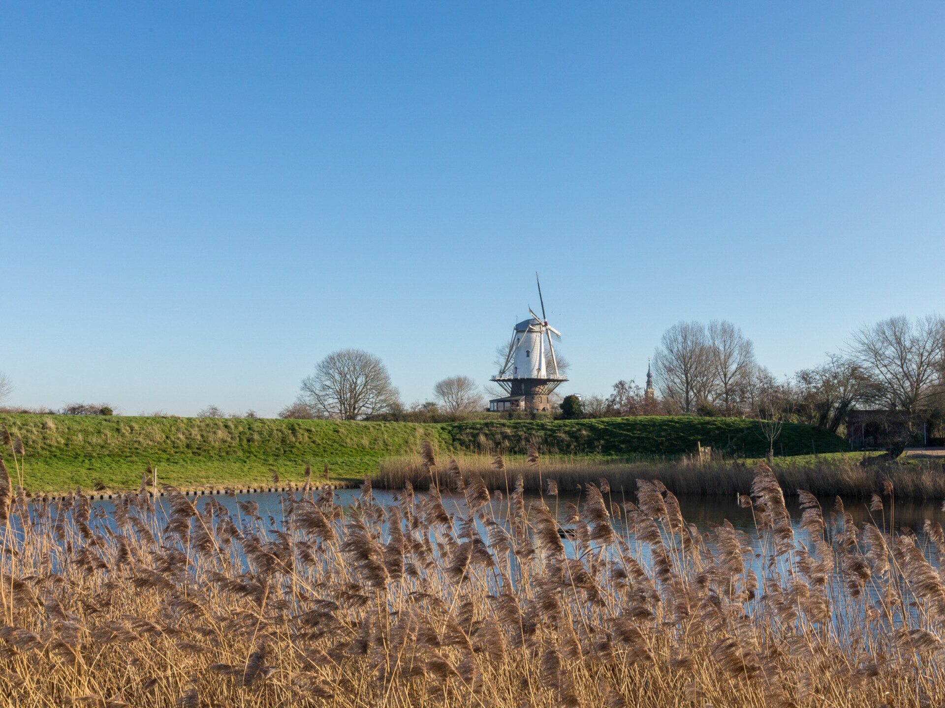 Knus vrijstaand huis in historisch Veere, 900m van het centrum - foto 18