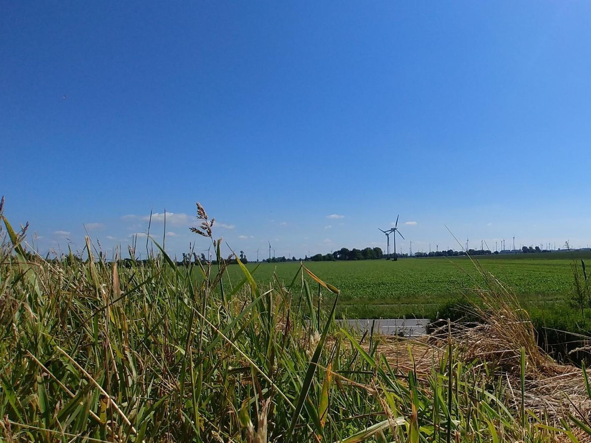 Knus vakantiehuis aan de dijk in Dornumersiel, vlakbij strand - foto 22
