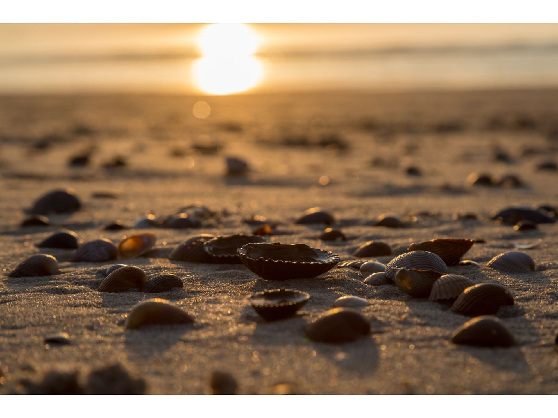 Romantisch studiootje in hartje Koudekerke, 4 km van het strand - foto 24