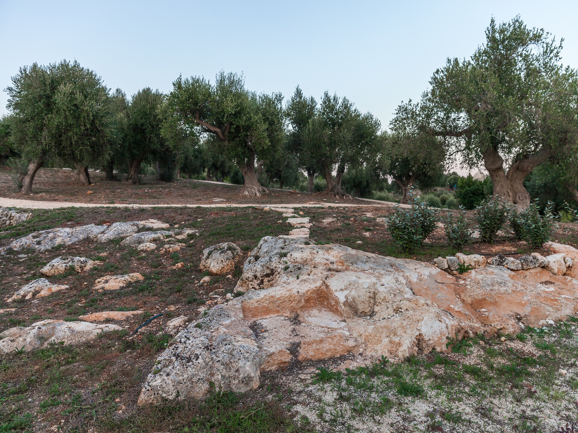 Luxury Trullo Termetrio: Authentiek verblijf met privézwembad in Cisternino - foto 26