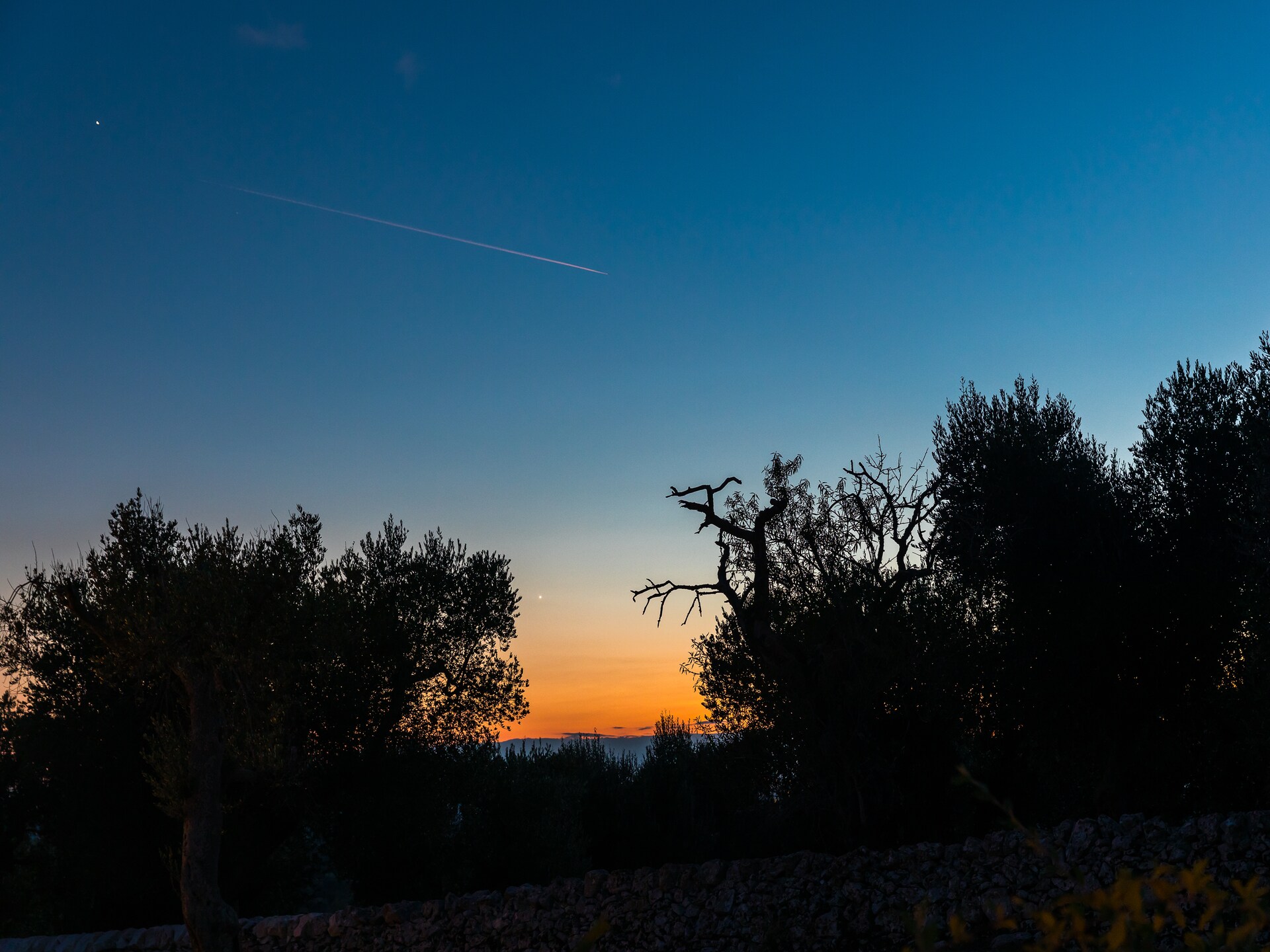 Luxury Trullo Termetrio: Authentiek verblijf met privézwembad in Cisternino - foto 31