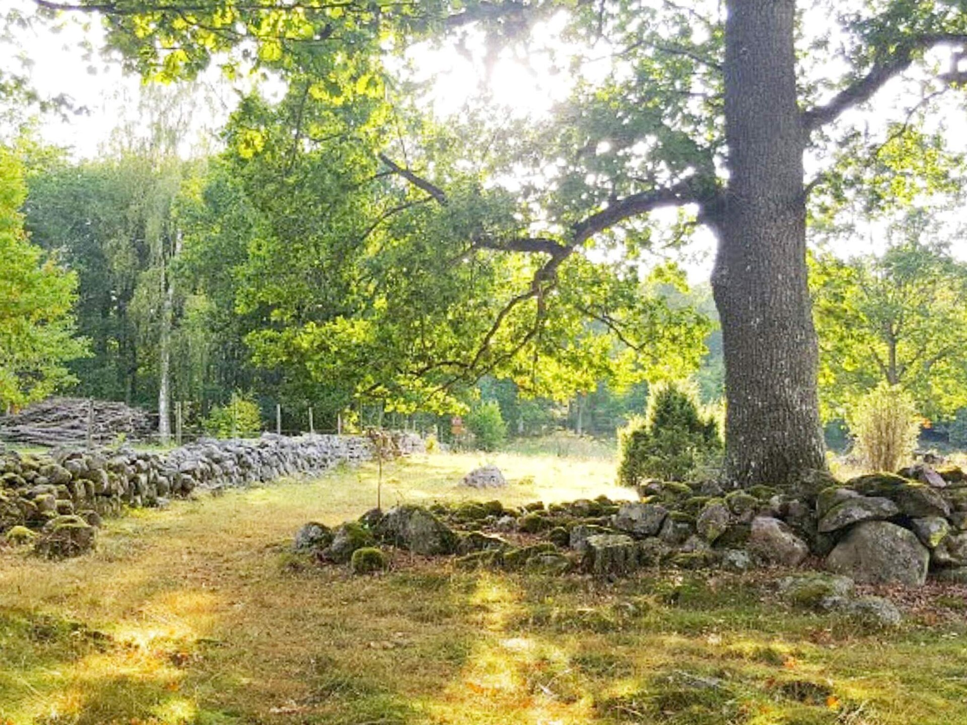 Authentieke Zweedse blokhut aan de golfbaan bij Anneby - foto 10
