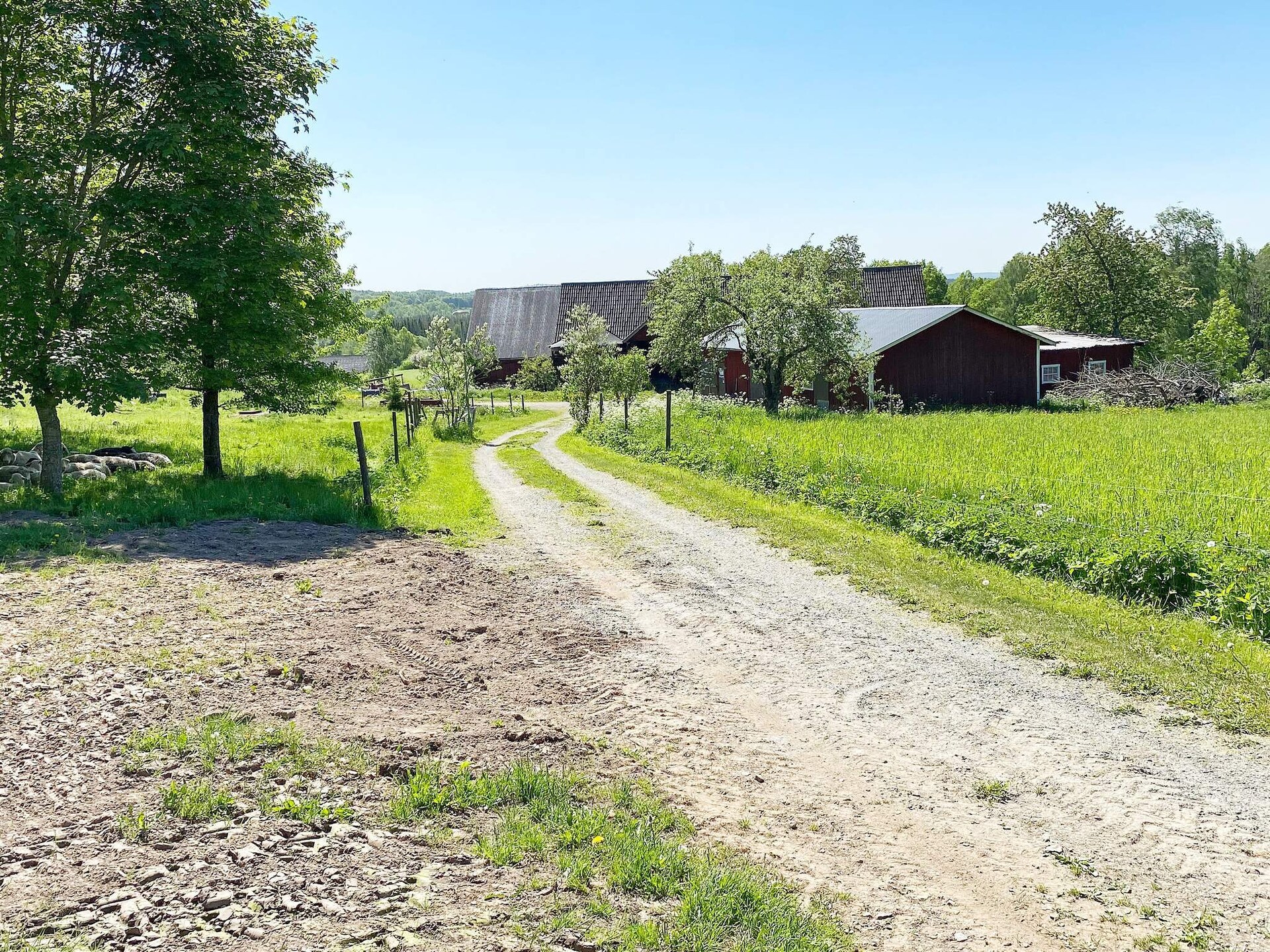 Authentieke Zweedse blokhut aan de golfbaan bij Anneby - foto 12