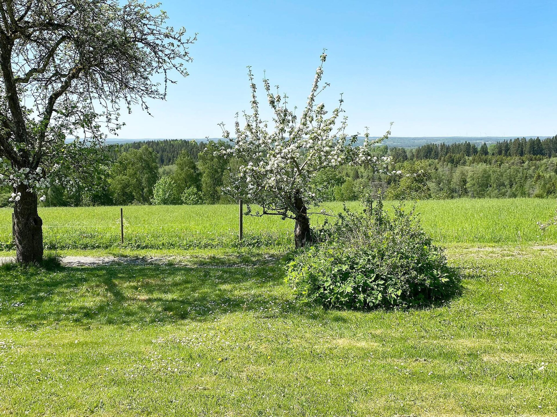 Authentieke Zweedse blokhut aan de golfbaan bij Anneby - foto 13