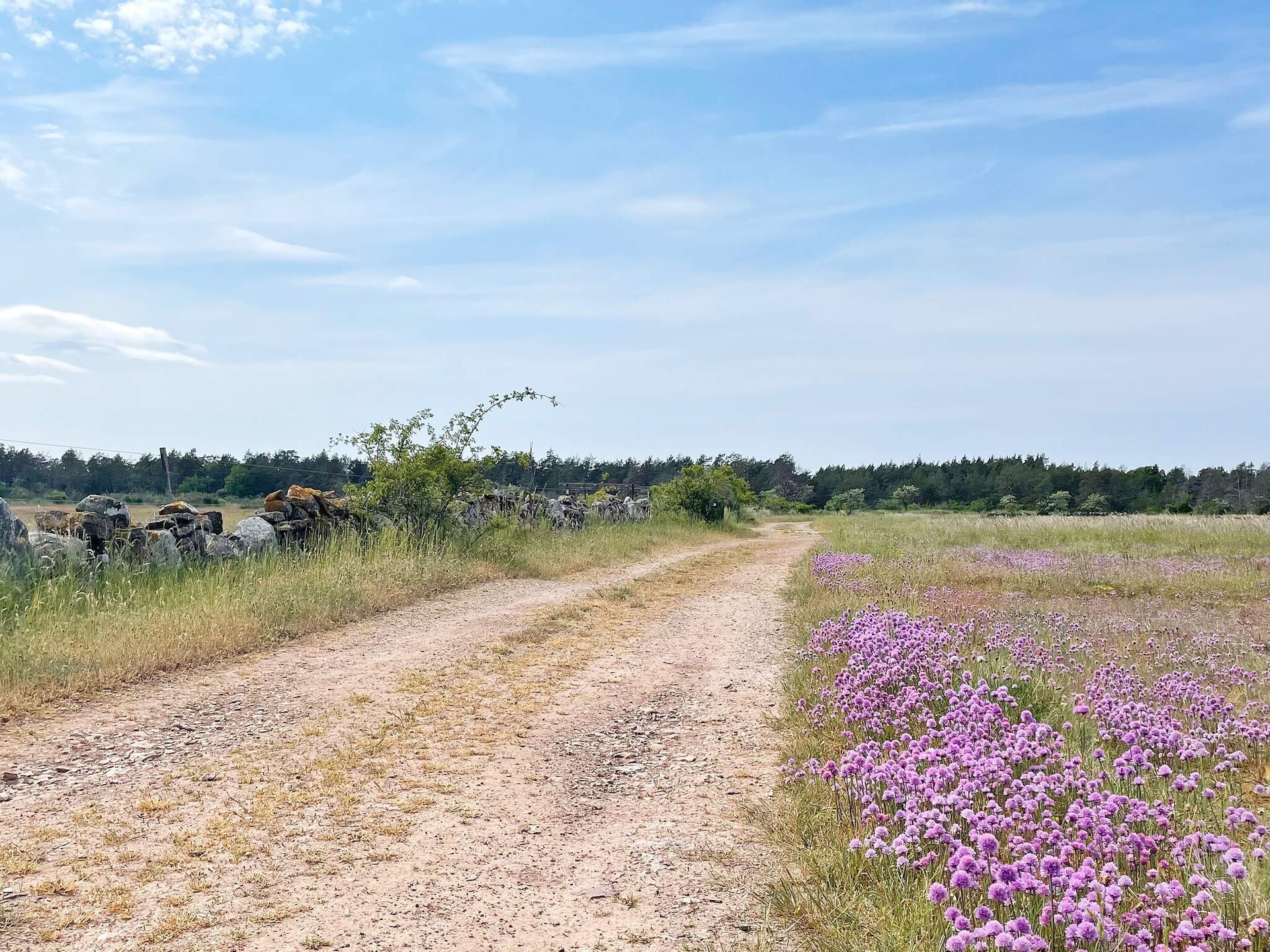 Modern vakantiehuis in Löttorp op Öland voor 5 personen - foto 13
