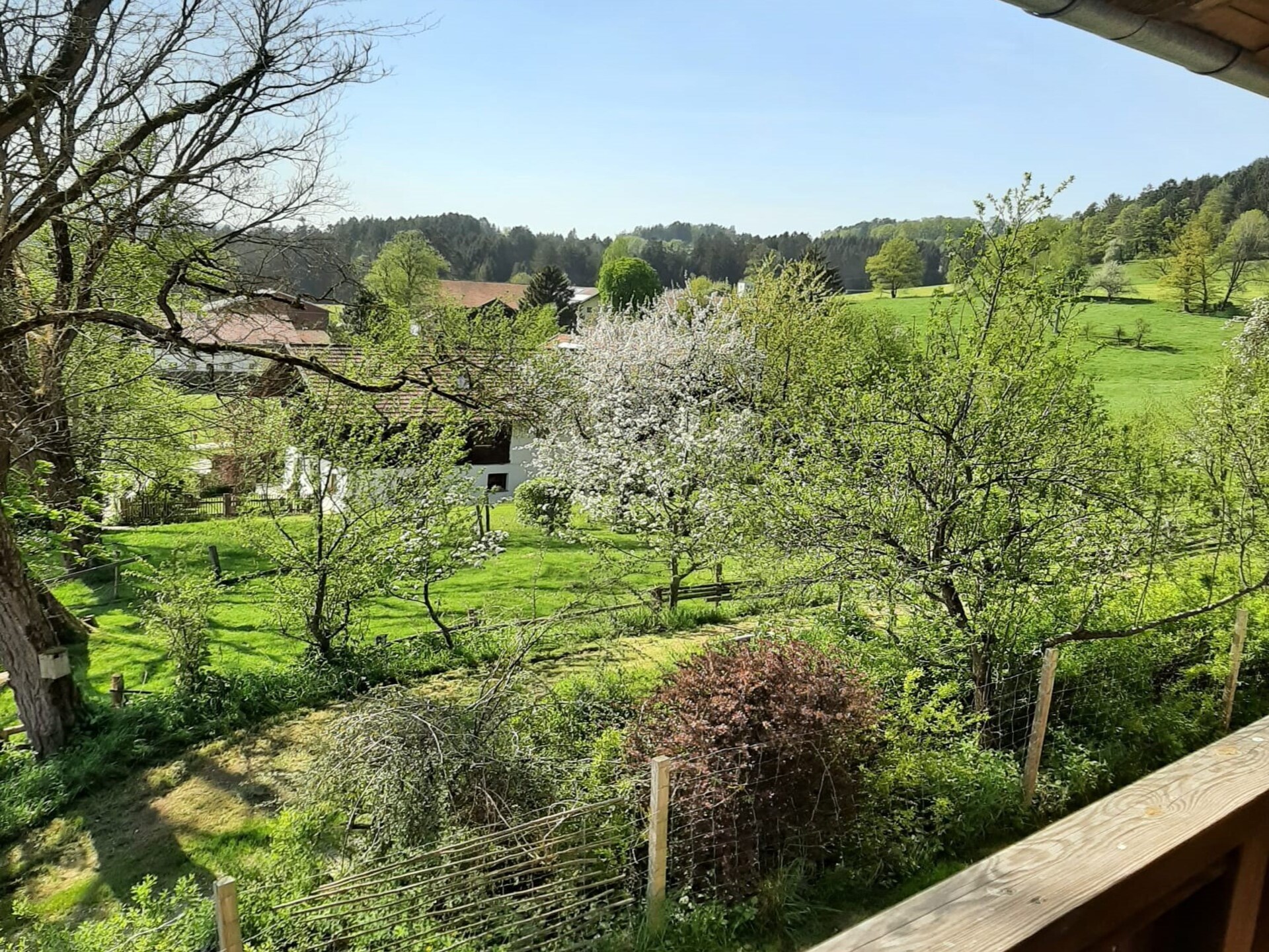 Ruim appartement aan de rivier bij Viechtach – 6 personen, hond welkom - foto 19