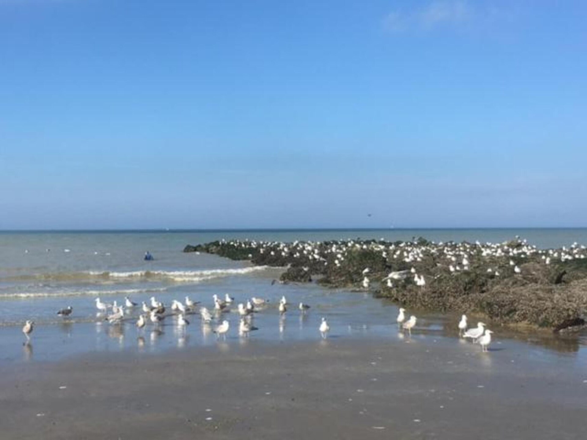 Gezinschalet met tuin, 3 km van strand Middelkerke - foto 27