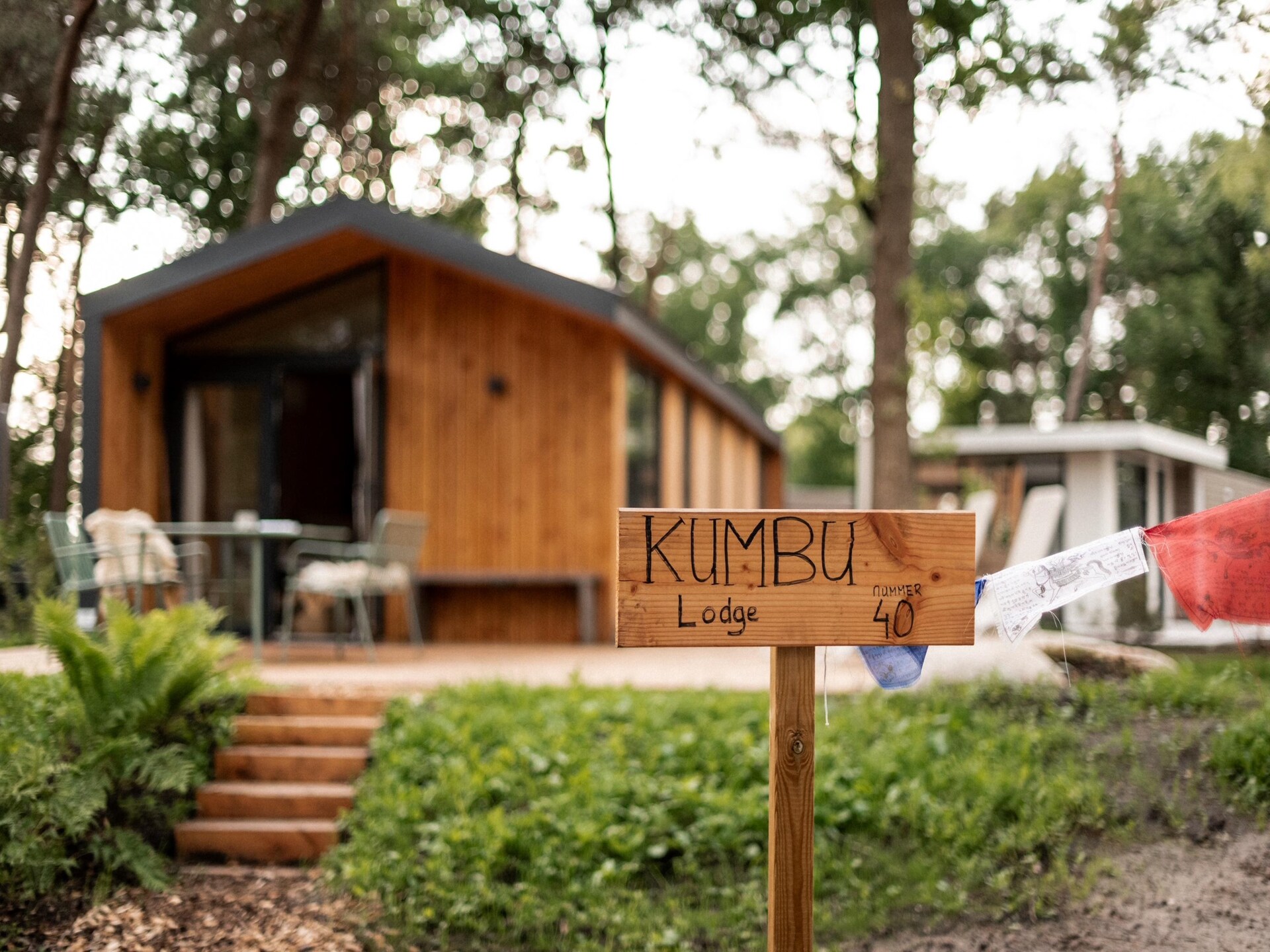 Vrijstaand vakantiehuis op Park Haarle, midden in de Sallandse natuur - foto 8