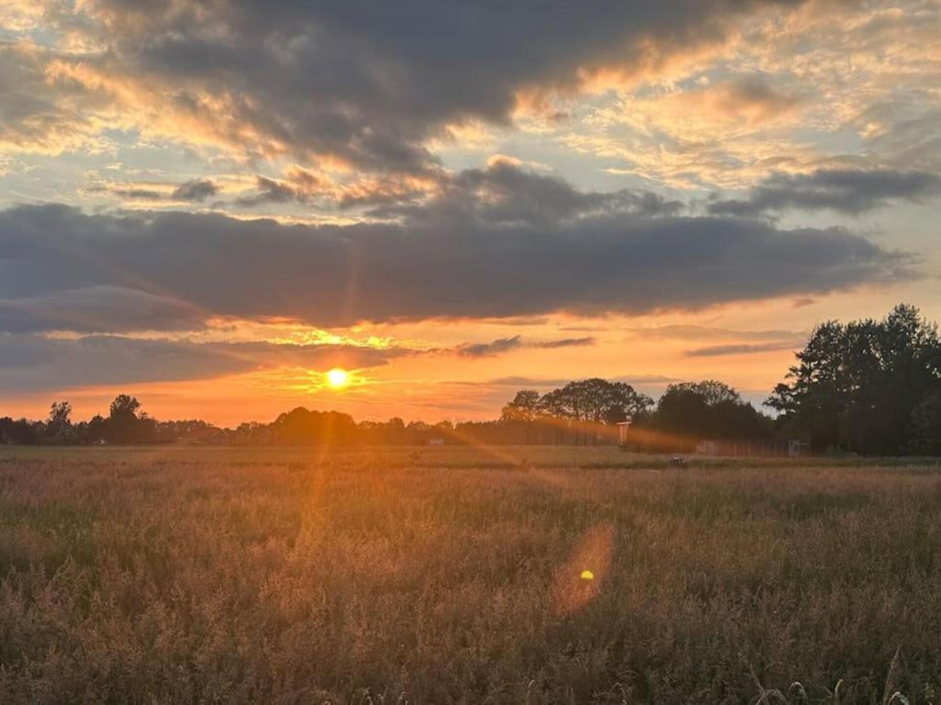 Vrijstaand vakantiehuis op Park Haarle, midden in de Sallandse natuur - foto 17