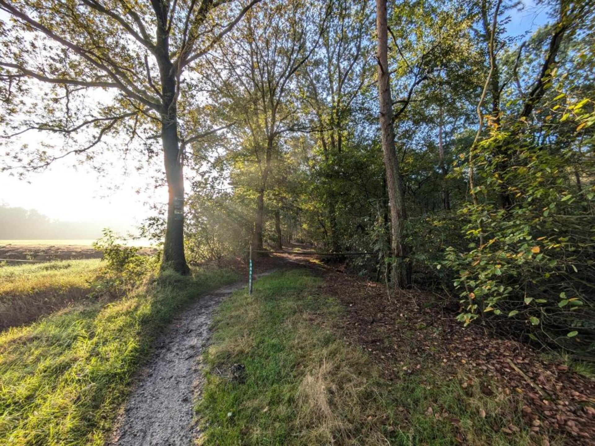 Vrijstaand vakantiehuis op Park Haarle, midden in de Sallandse natuur - foto 20