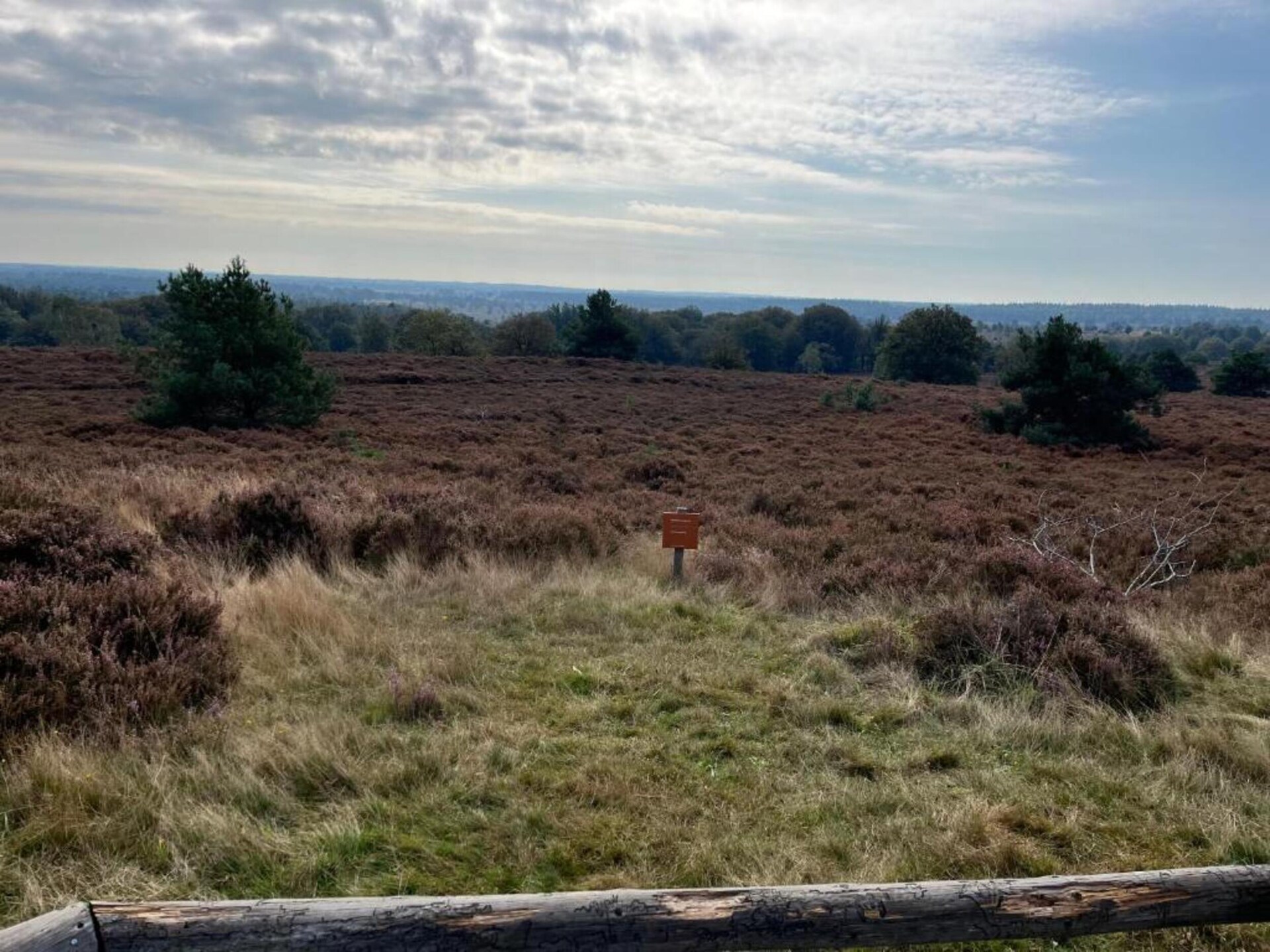 Vrijstaand vakantiehuis op Park Haarle, midden in de Sallandse natuur - foto 21