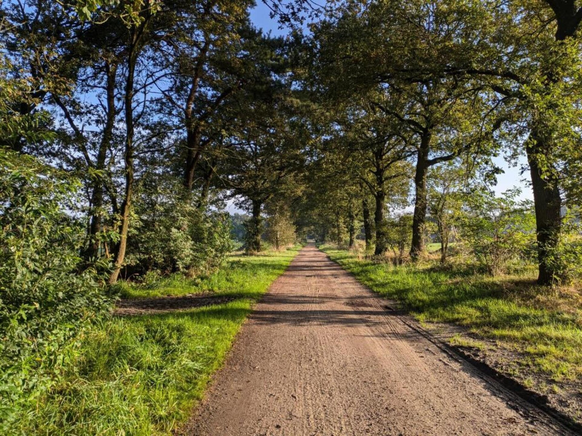 Vrijstaand vakantiehuis op Park Haarle, midden in de Sallandse natuur - foto 24