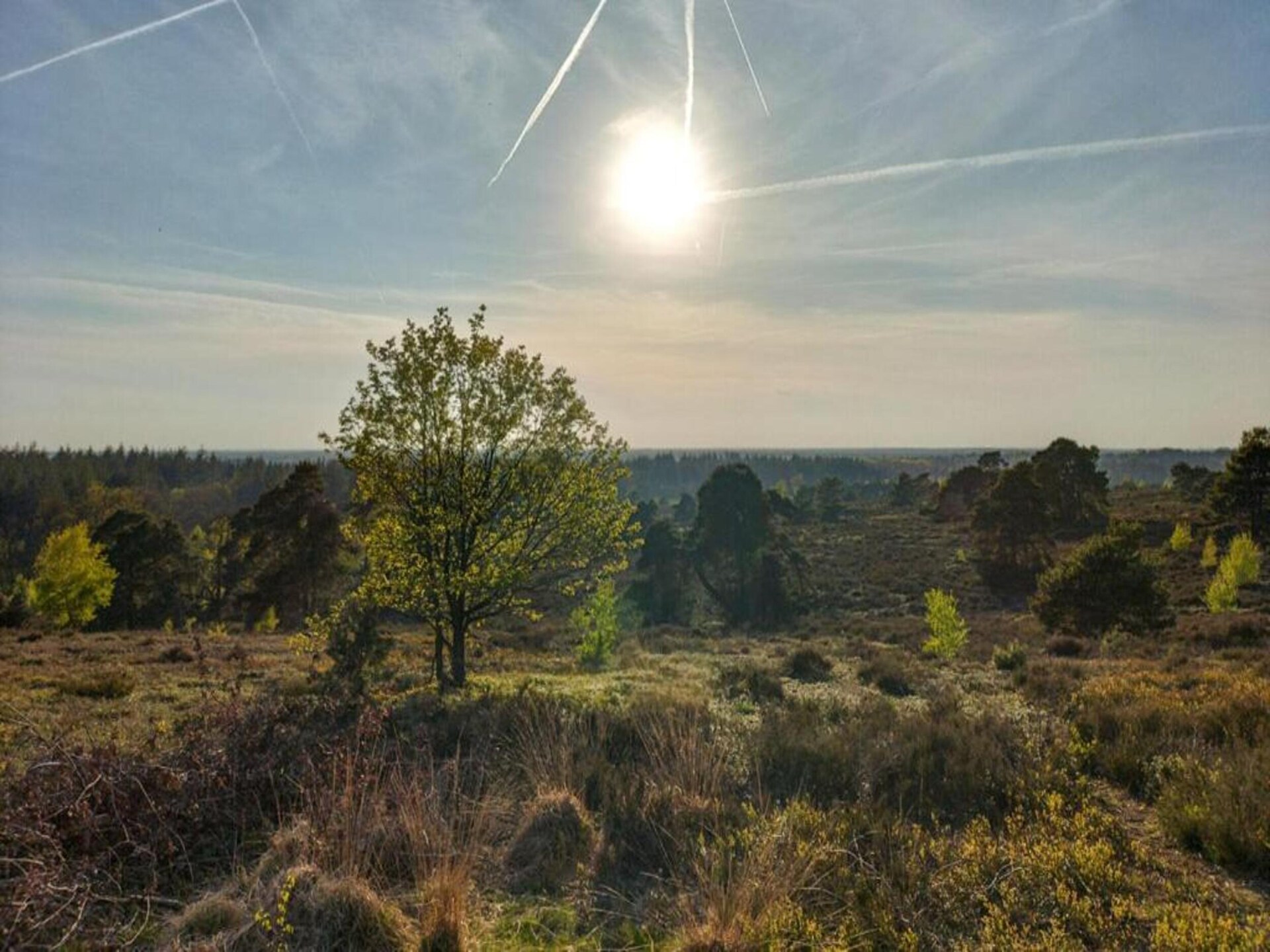 Vrijstaand vakantiehuis op Park Haarle, midden in de Sallandse natuur - foto 26