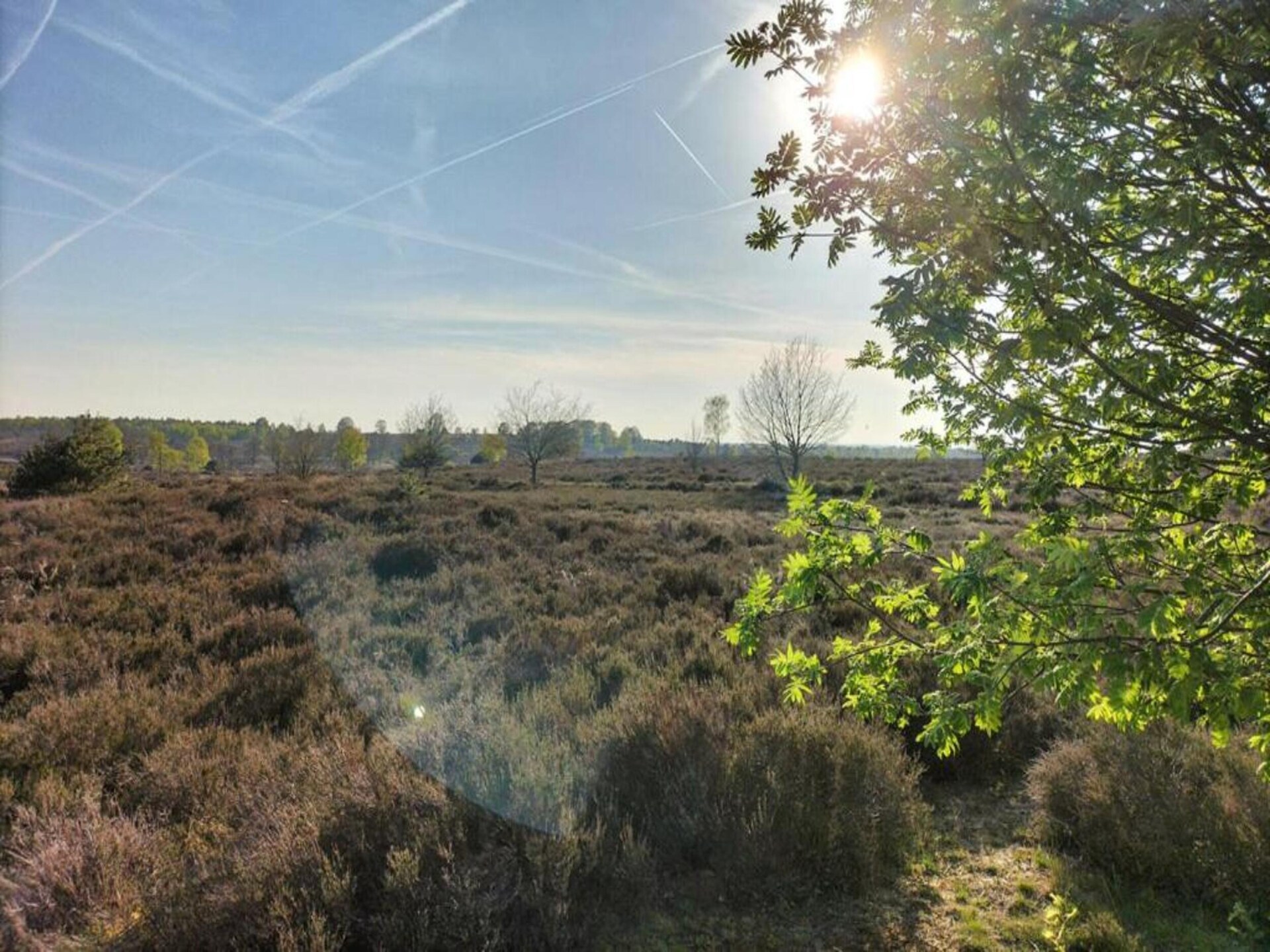 Vrijstaand vakantiehuis op Park Haarle, midden in de Sallandse natuur - foto 23