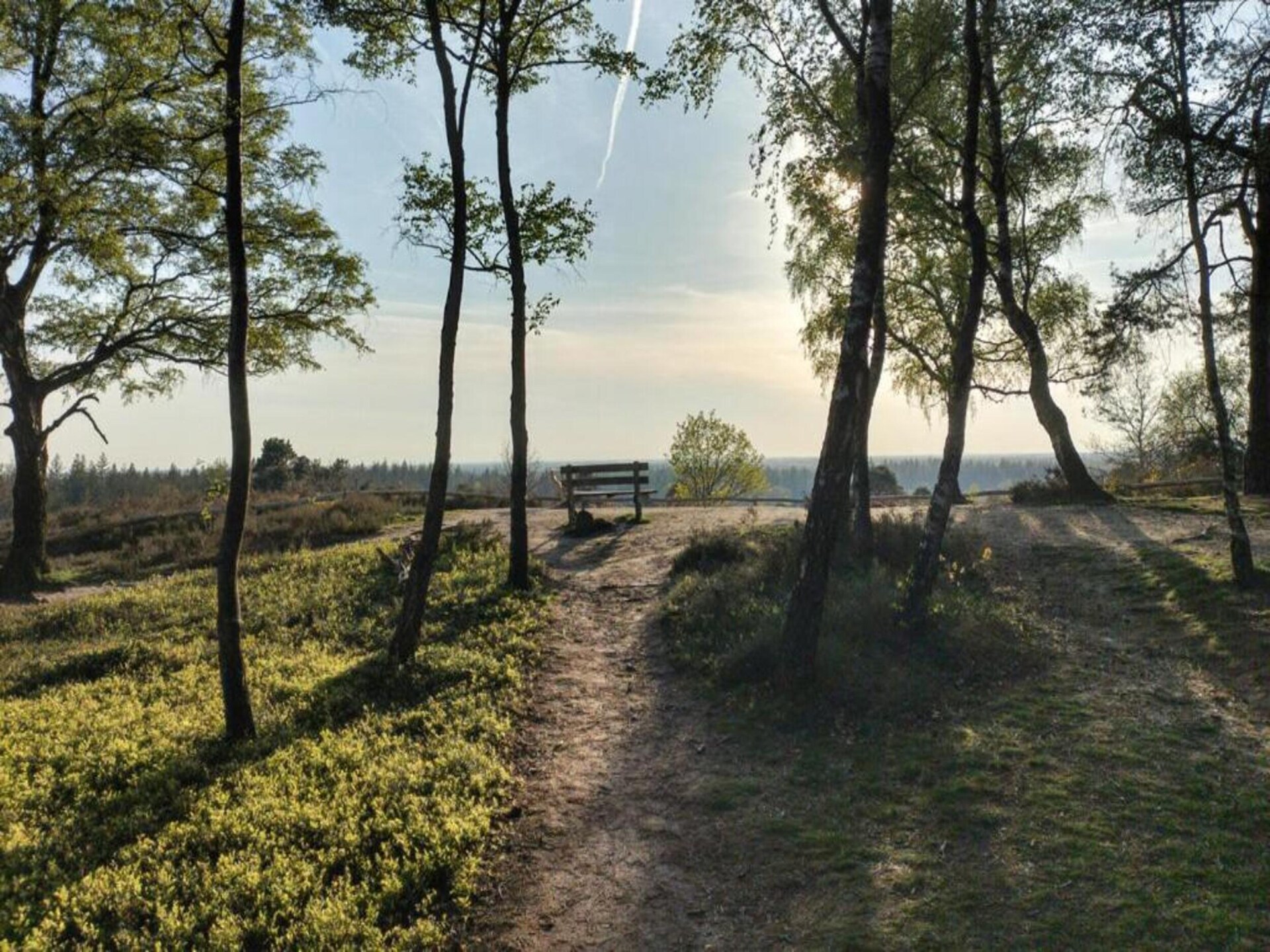 Vrijstaand vakantiehuis op Park Haarle, midden in de Sallandse natuur - foto 25