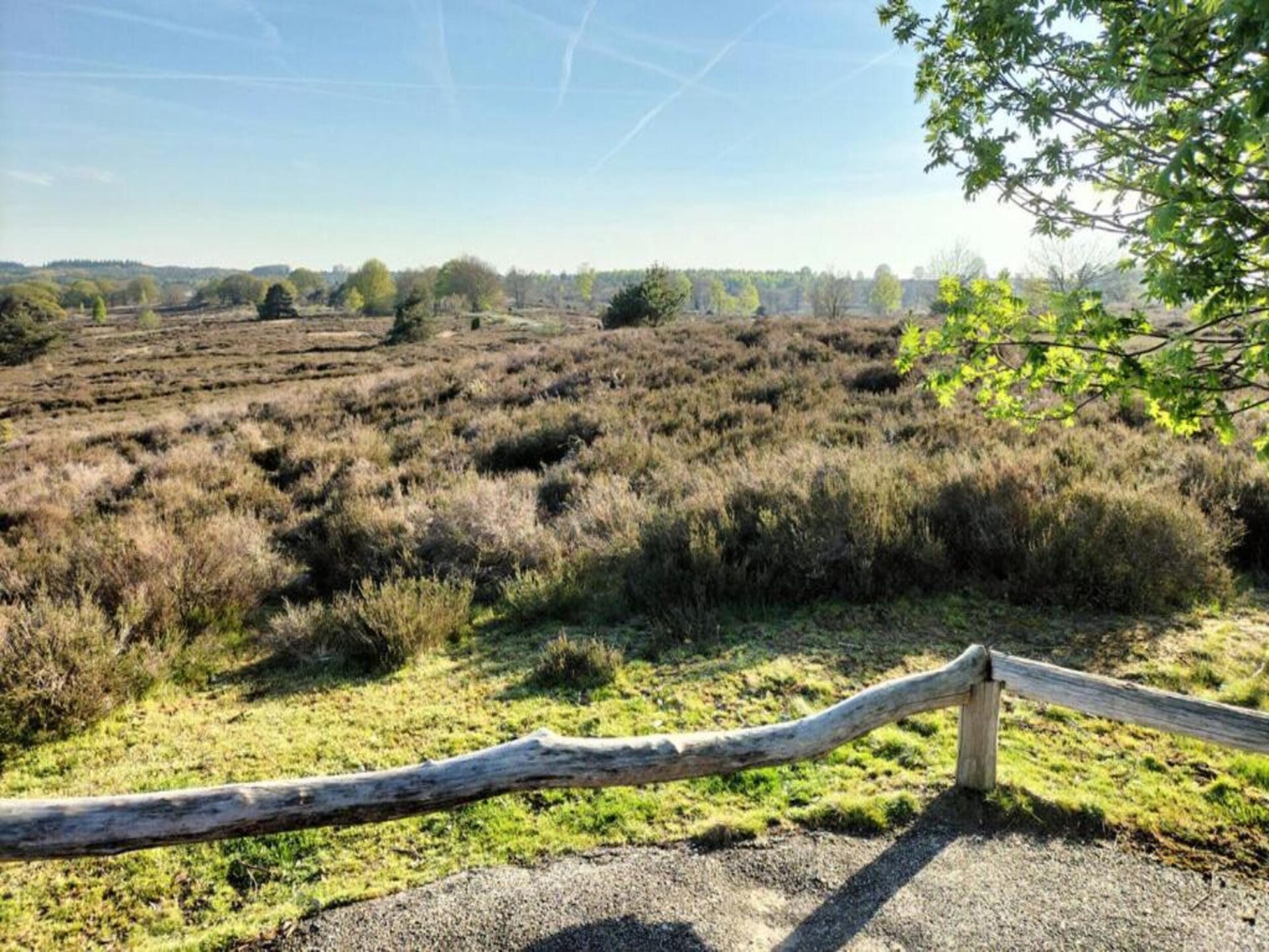Vrijstaand vakantiehuis op Park Haarle, midden in de Sallandse natuur - foto 27