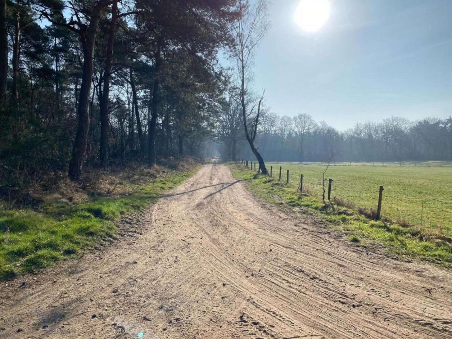 Vrijstaand vakantiehuis op Park Haarle, midden in de Sallandse natuur - foto 28