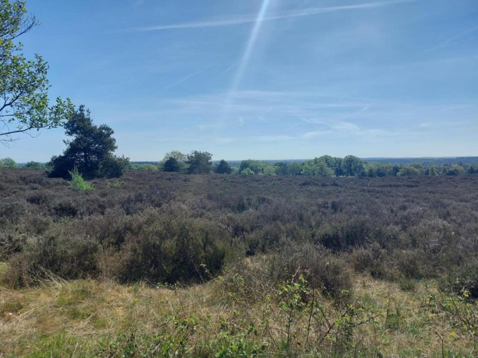 Vrijstaand vakantiehuis op Park Haarle, midden in de Sallandse natuur - foto 30