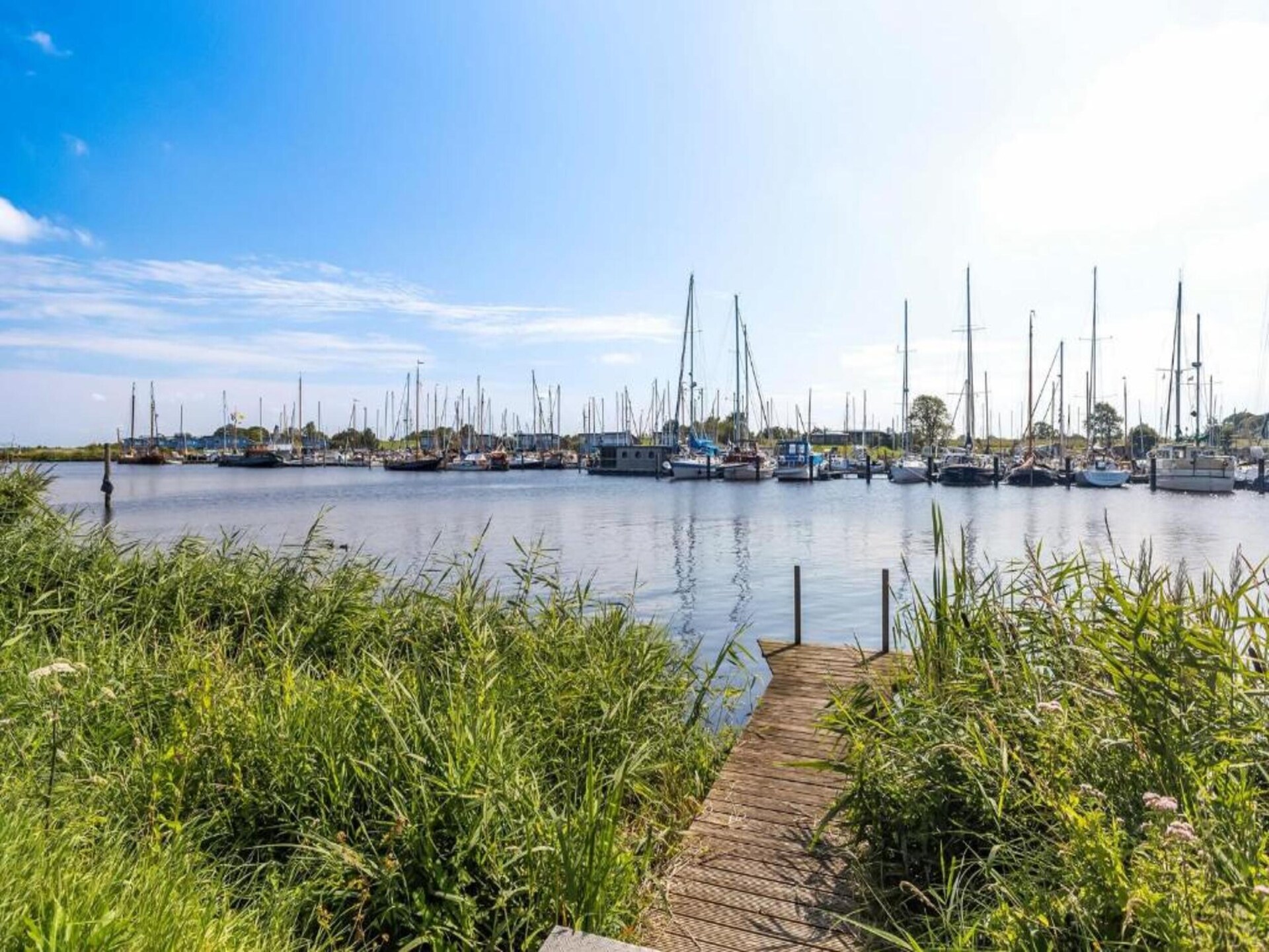 Grote Siege 44: Gezellig vakantiehuis aan de oevers van Anjum met golfbaan - foto 32