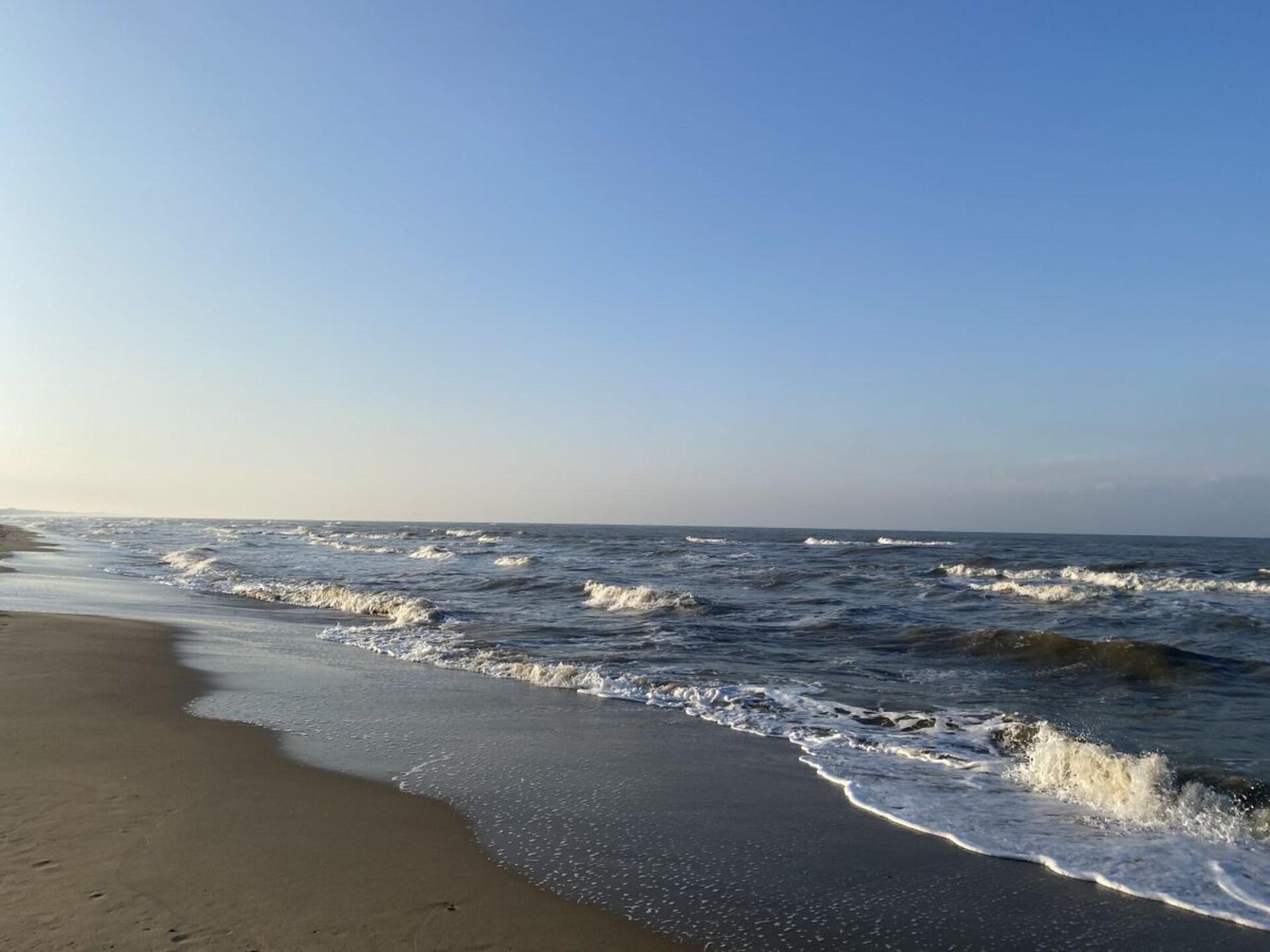 Westerwald aan Zee: Vrijstaand strandhuis op 300m van de duinen - foto 12