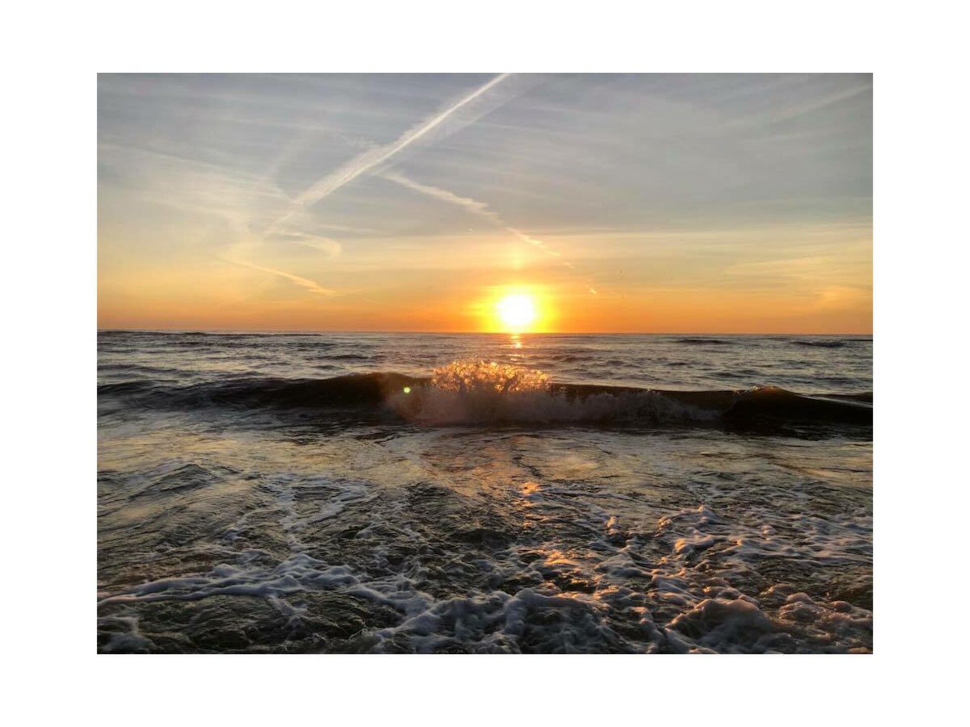 Westerwald aan Zee: Vrijstaand strandhuis op 300m van de duinen - foto 14