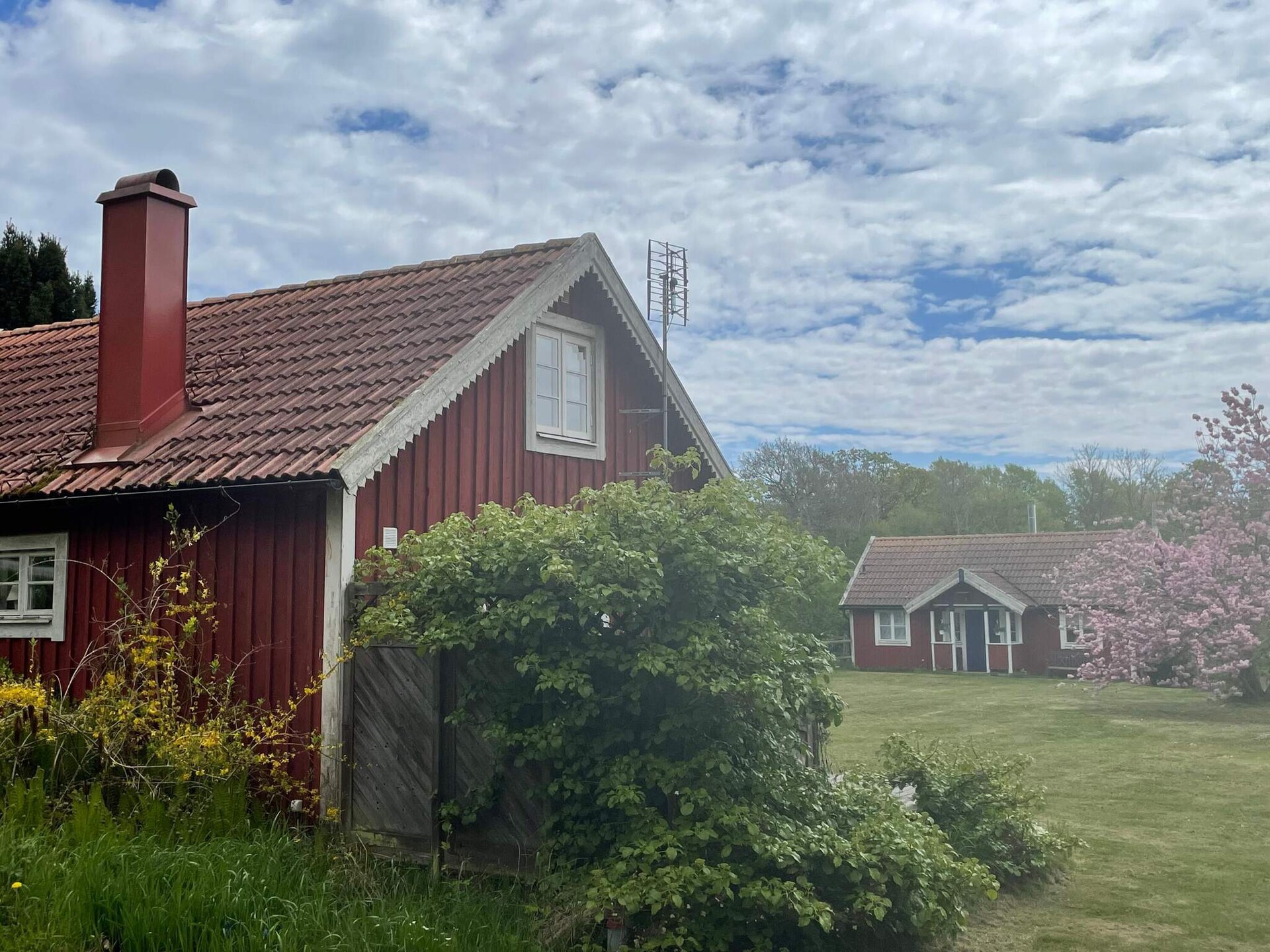 Vakantiehuis op 400 m van het meer in Ronneby voor 5 personen - foto 8