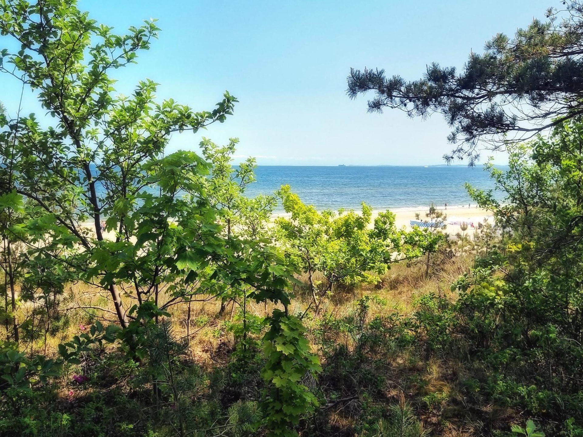 Op 500 m van het strand: Comfortabel appartement in centrum Mrzeżyno - foto 23