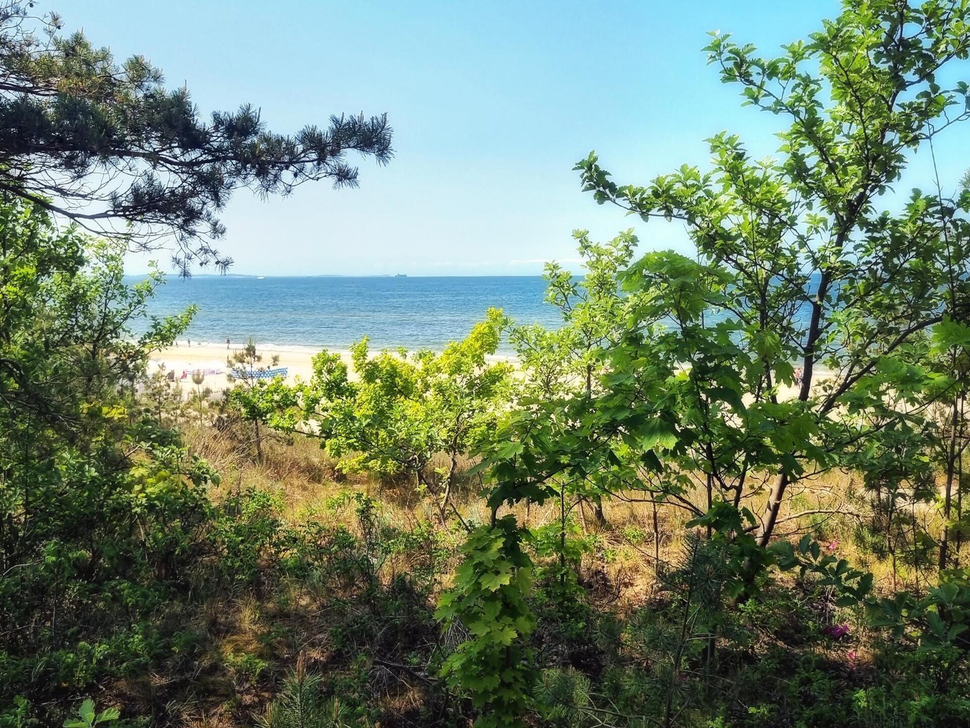 Op 500 m van het strand: Comfortabel appartement in centrum Mrzeżyno - foto 30