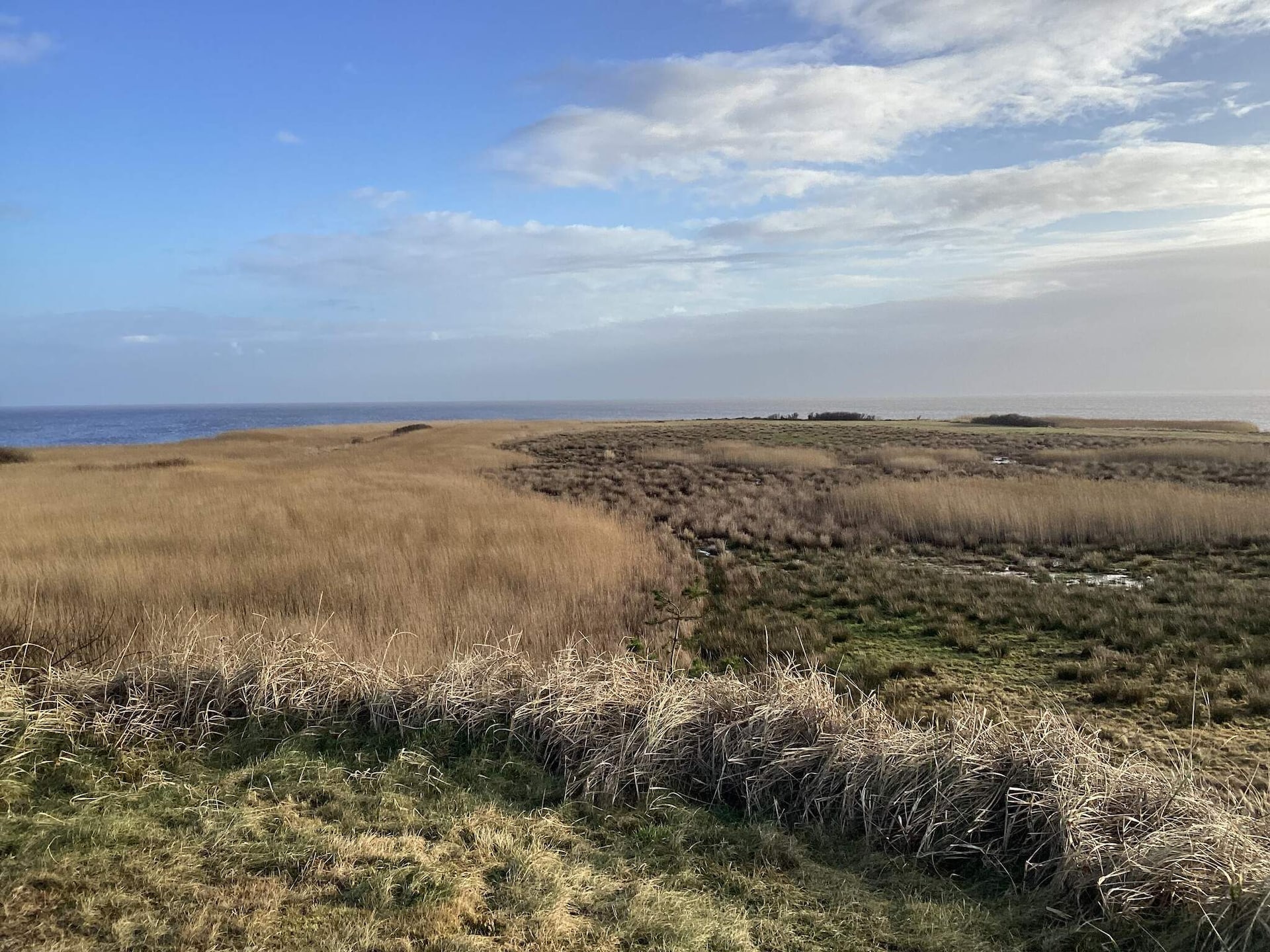 3-persoons vakantiehuis in Hvide Sande met panoramisch fjordzicht - foto 11